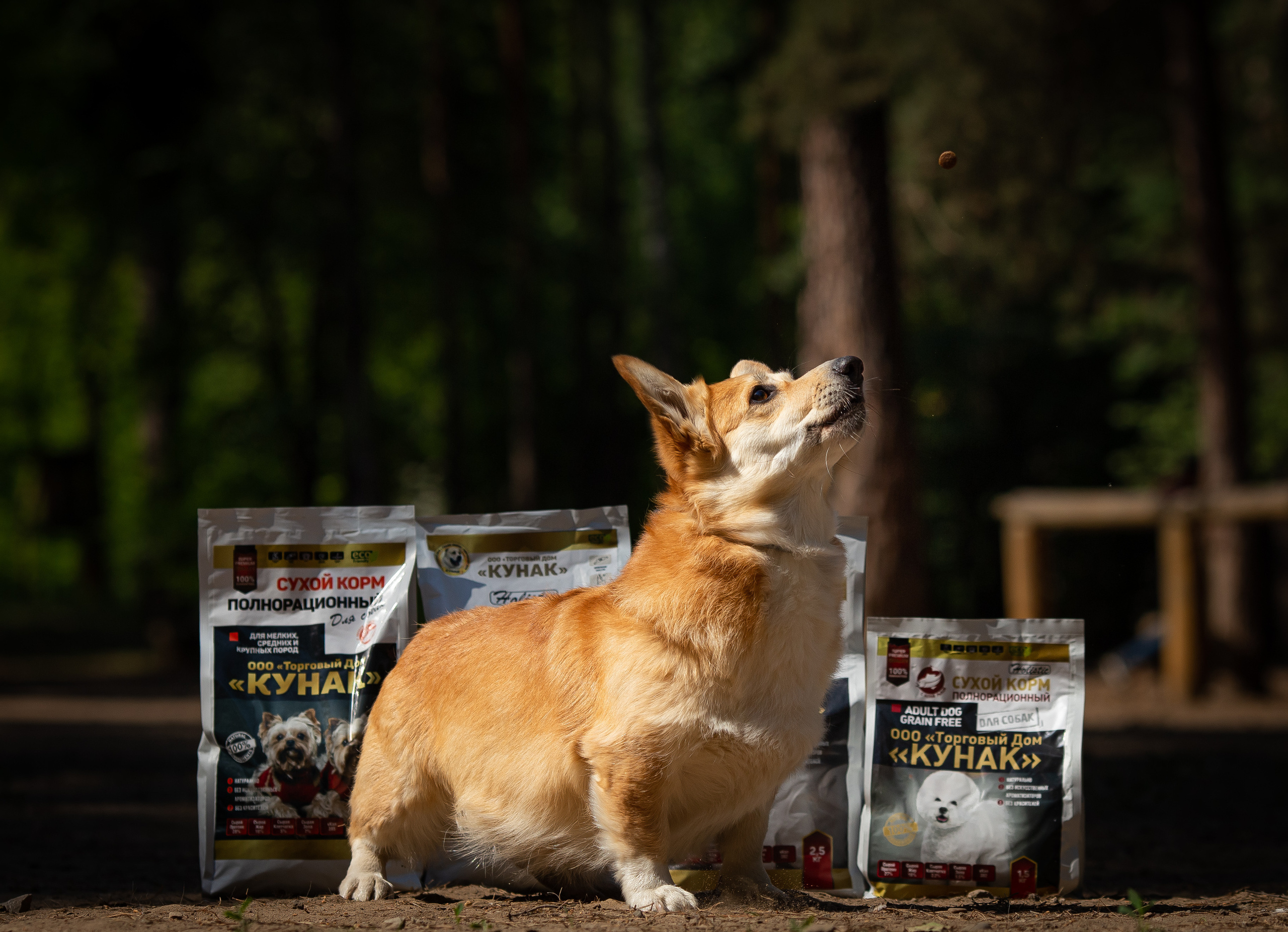Реклама кормов. Фотограф Анималист в Перми Анастасия Остерман