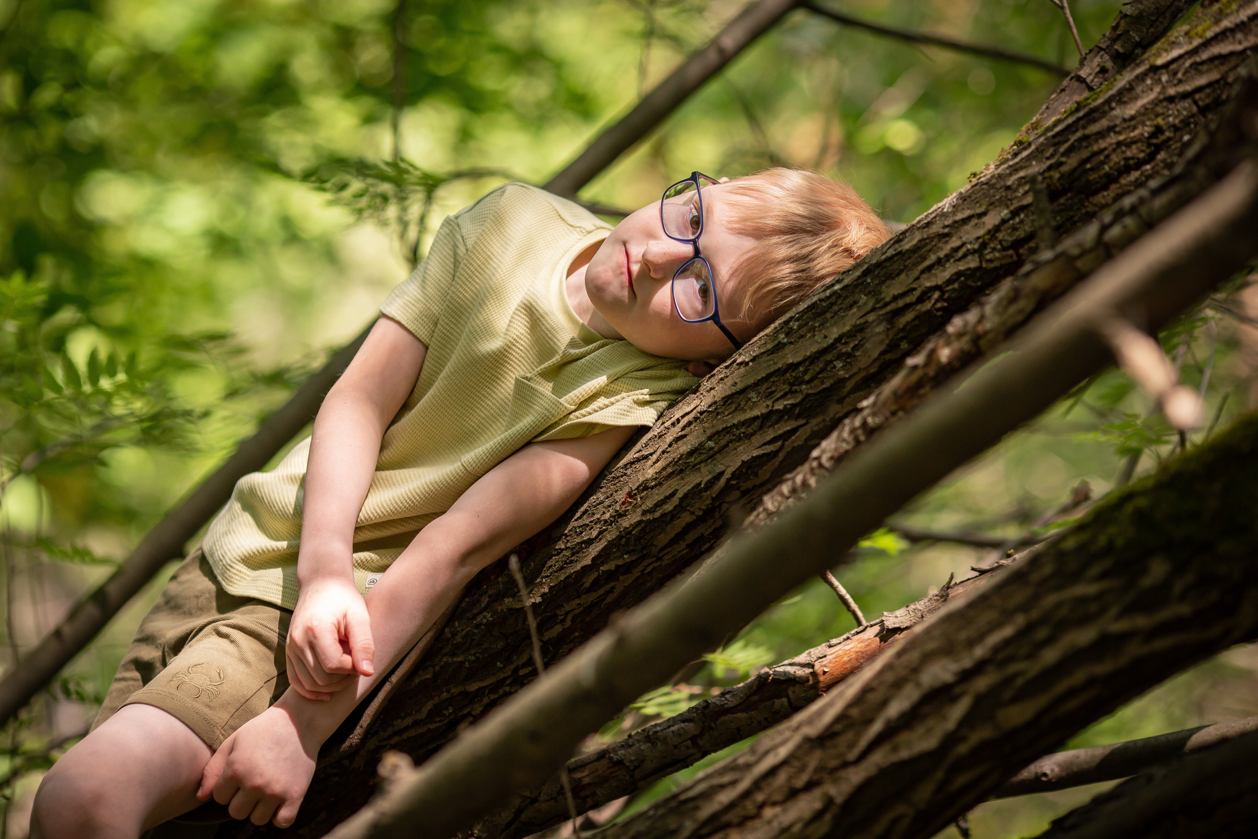 Лесные истории. Фотограф Анималист в Перми Анастасия Остерман