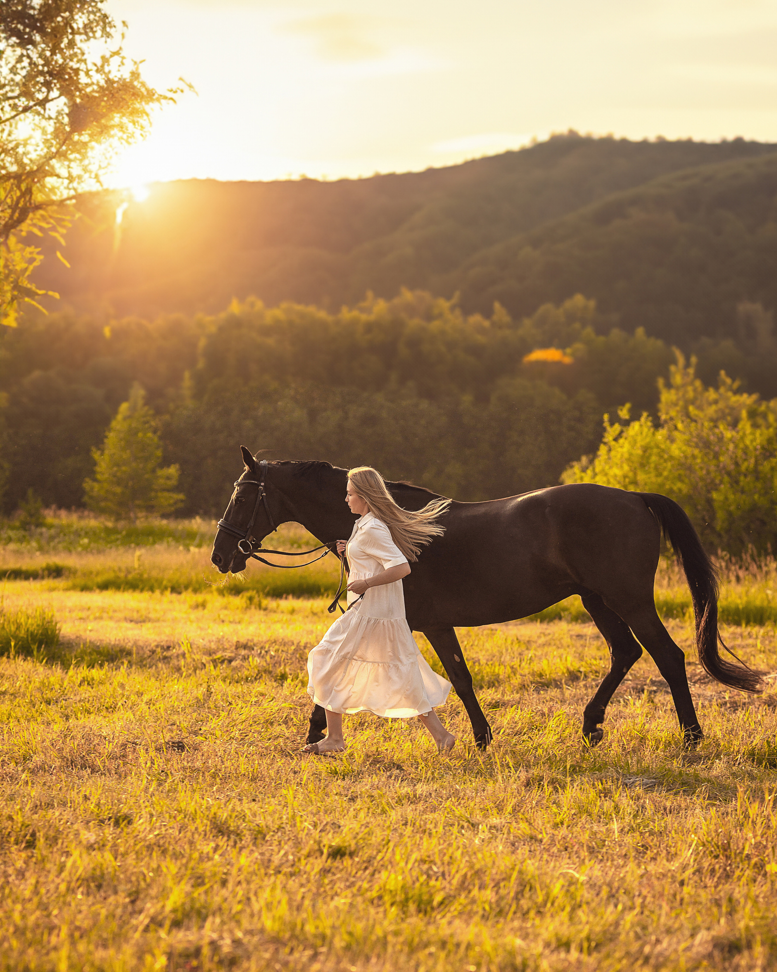 Закат, Вика и Бриз