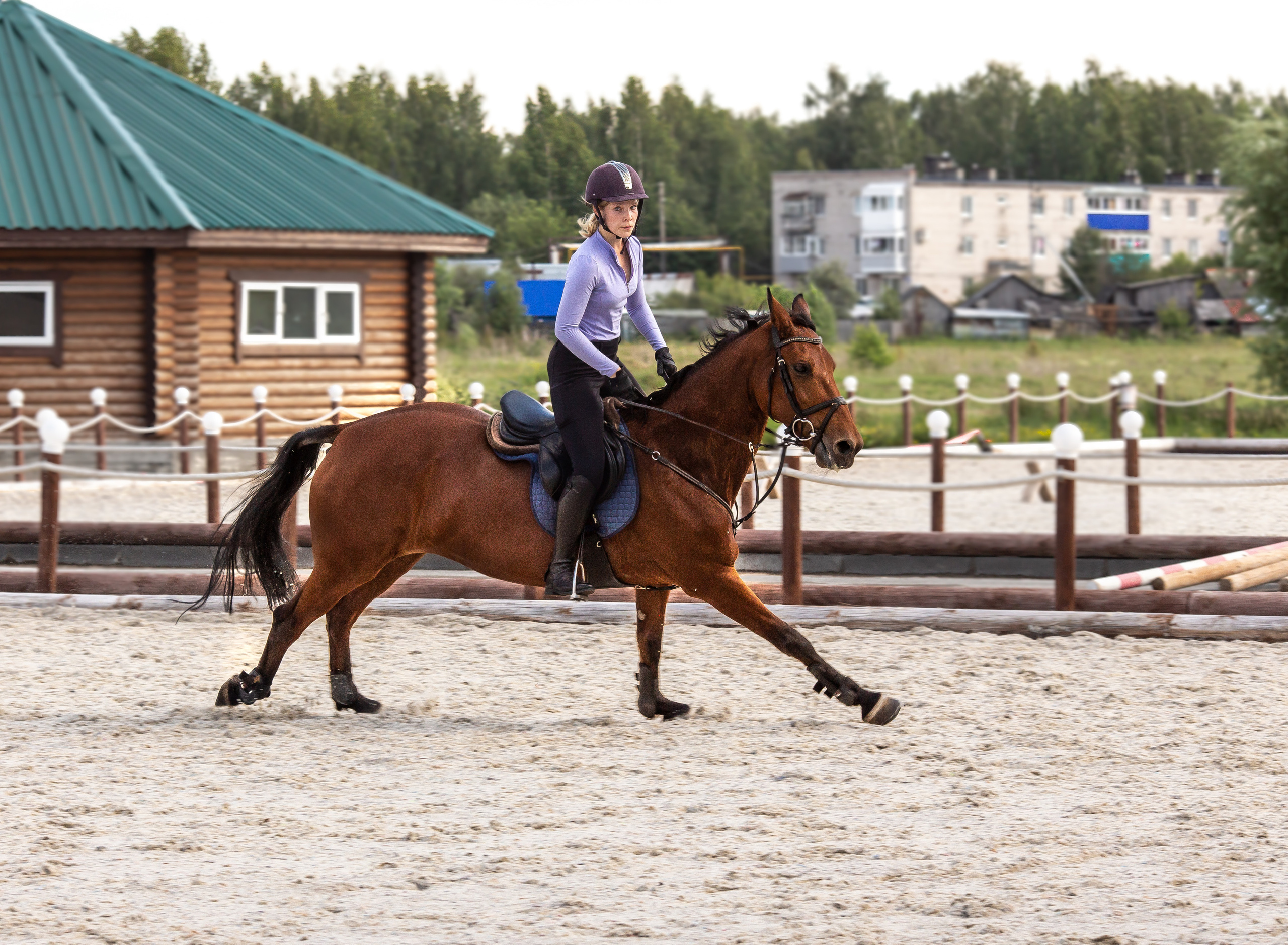 Конное тренировочное. Фотограф Анималист в Перми Анастасия Остерман
