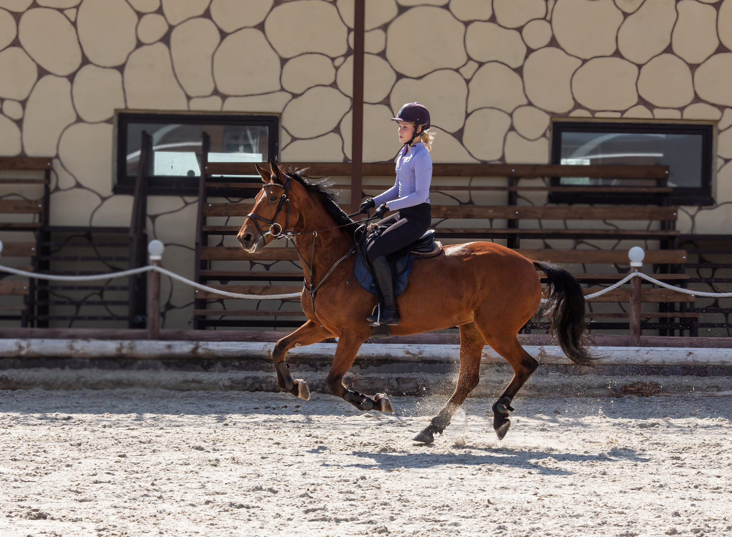 Конное тренировочное. Фотограф Анималист в Перми Анастасия Остерман