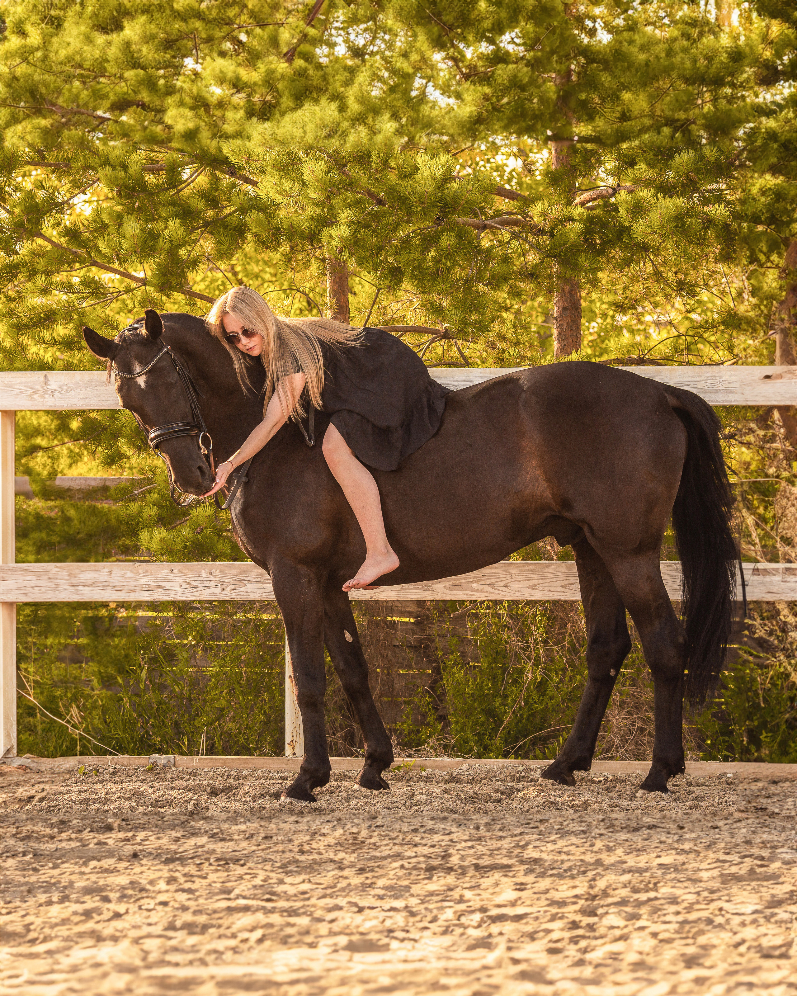 Закат, Вика и Бриз. Фотограф Анималист в Перми Анастасия Остерман