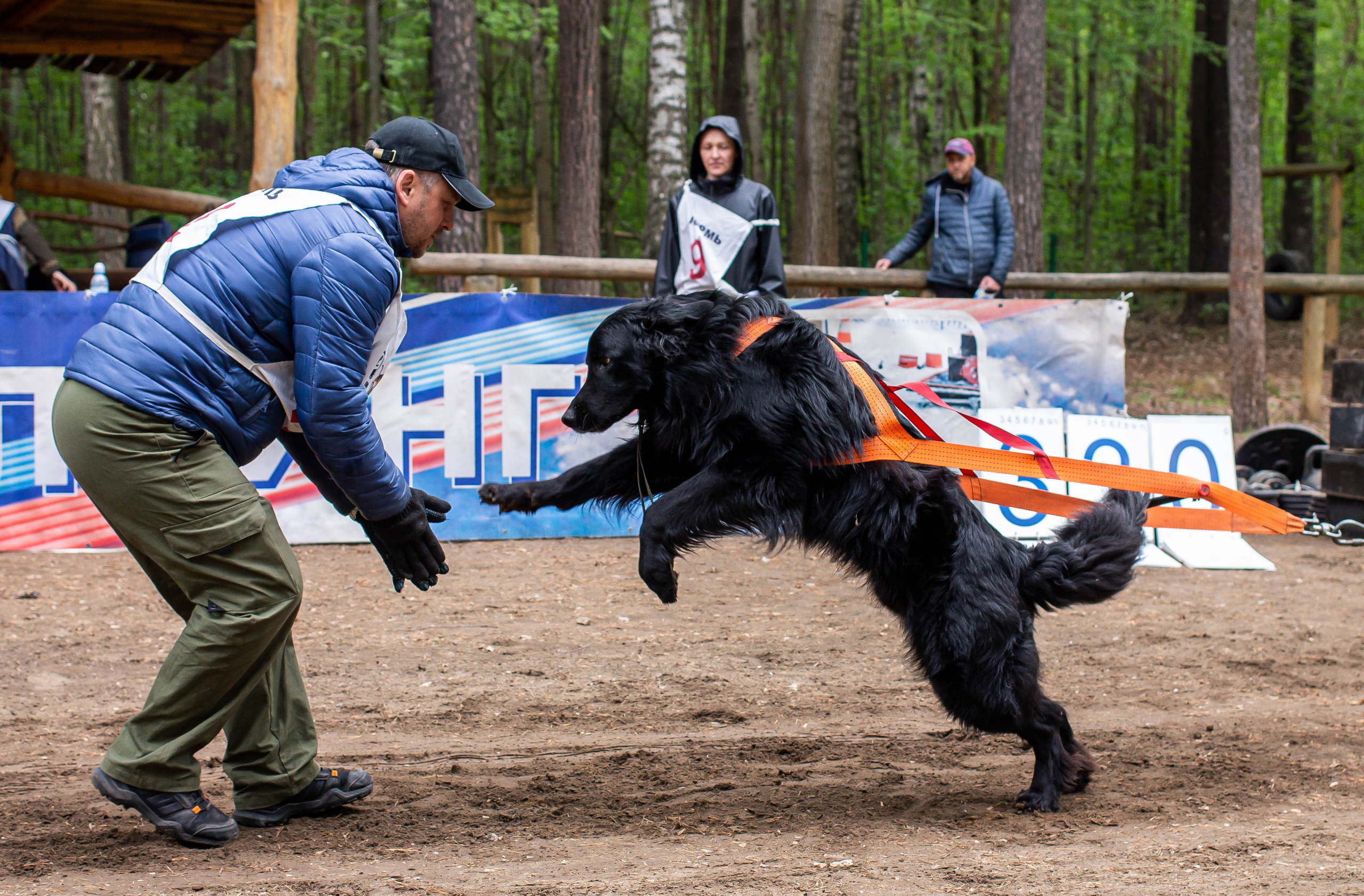 Репортаж вейтпуллинг. Фотограф Анималист в Перми Анастасия Остерман