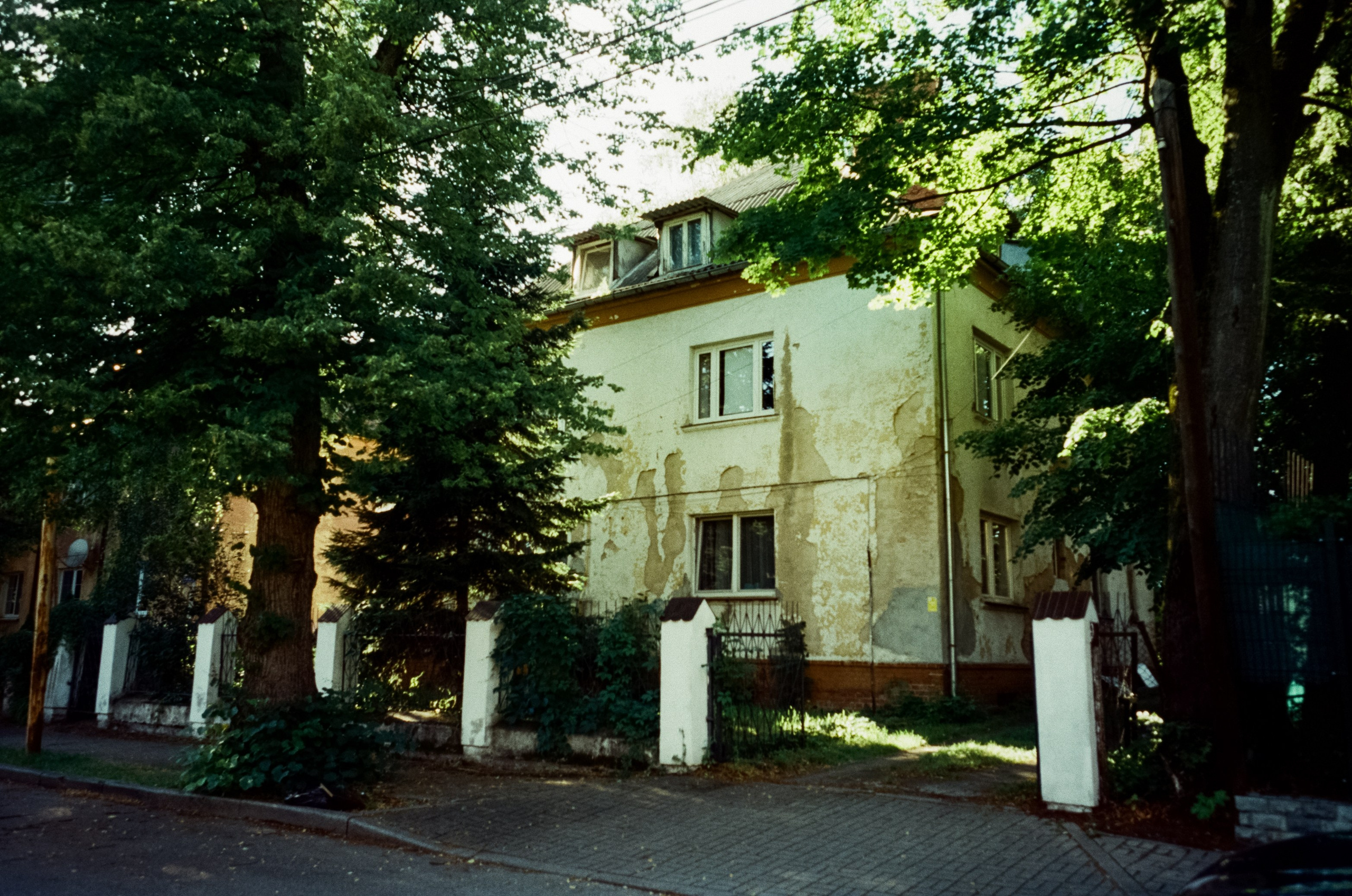 Прогулка от Площади Победы к Amalienau в golden hour. Фотограф-документалист Мария Осокина