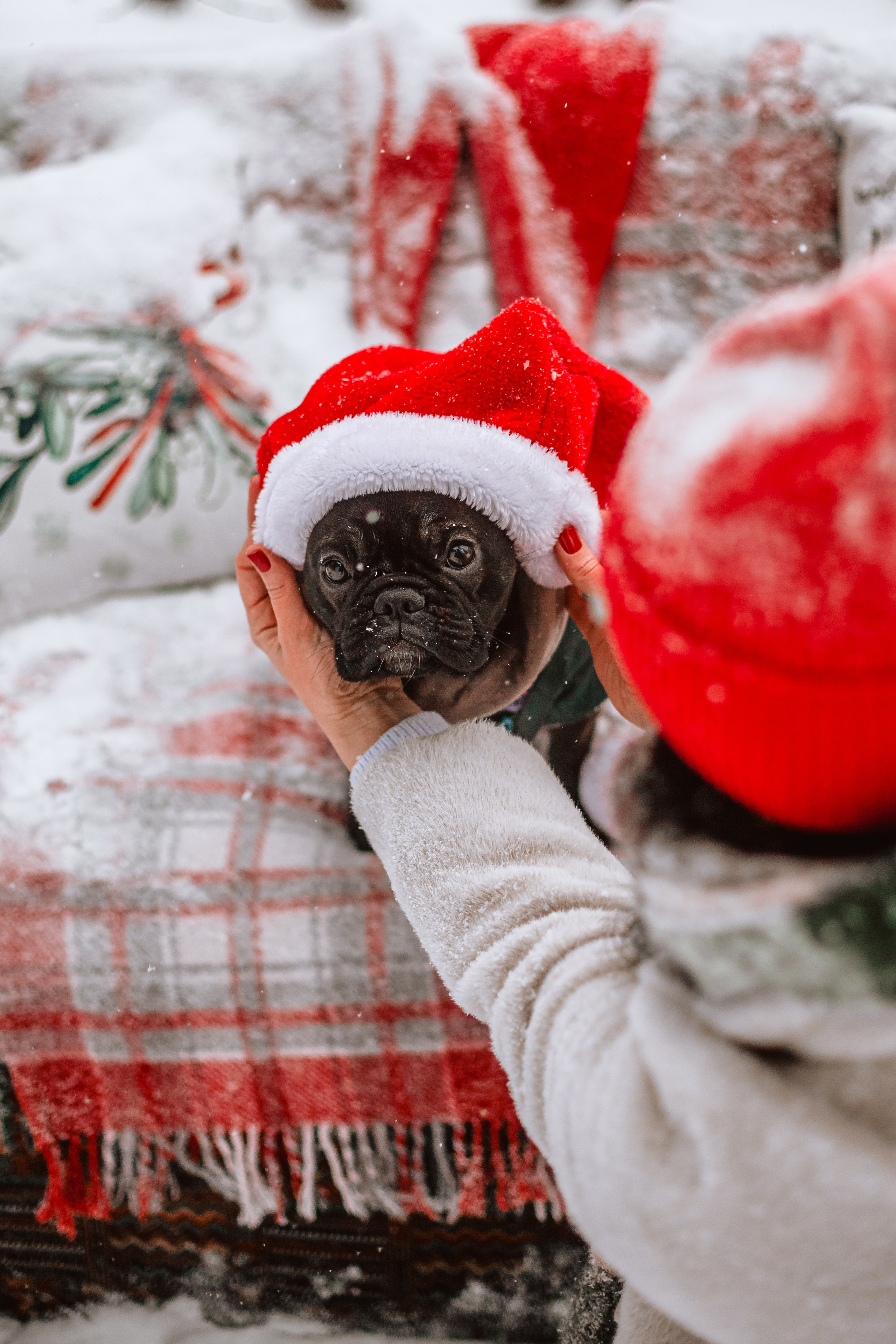Кантри Хаус. Фотограф-анималист Татьяна Степанова