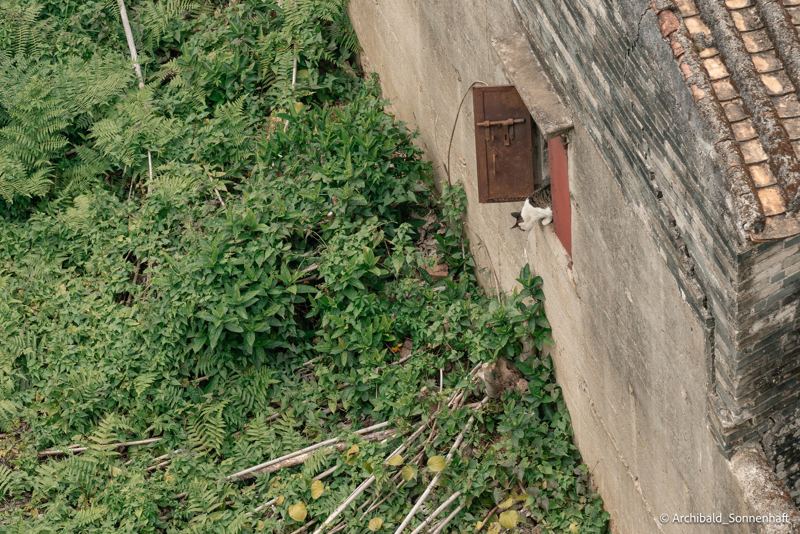 Diaolou in Kaiping. Photographer in Guangzhou, China. Archibald Sonnenhaft