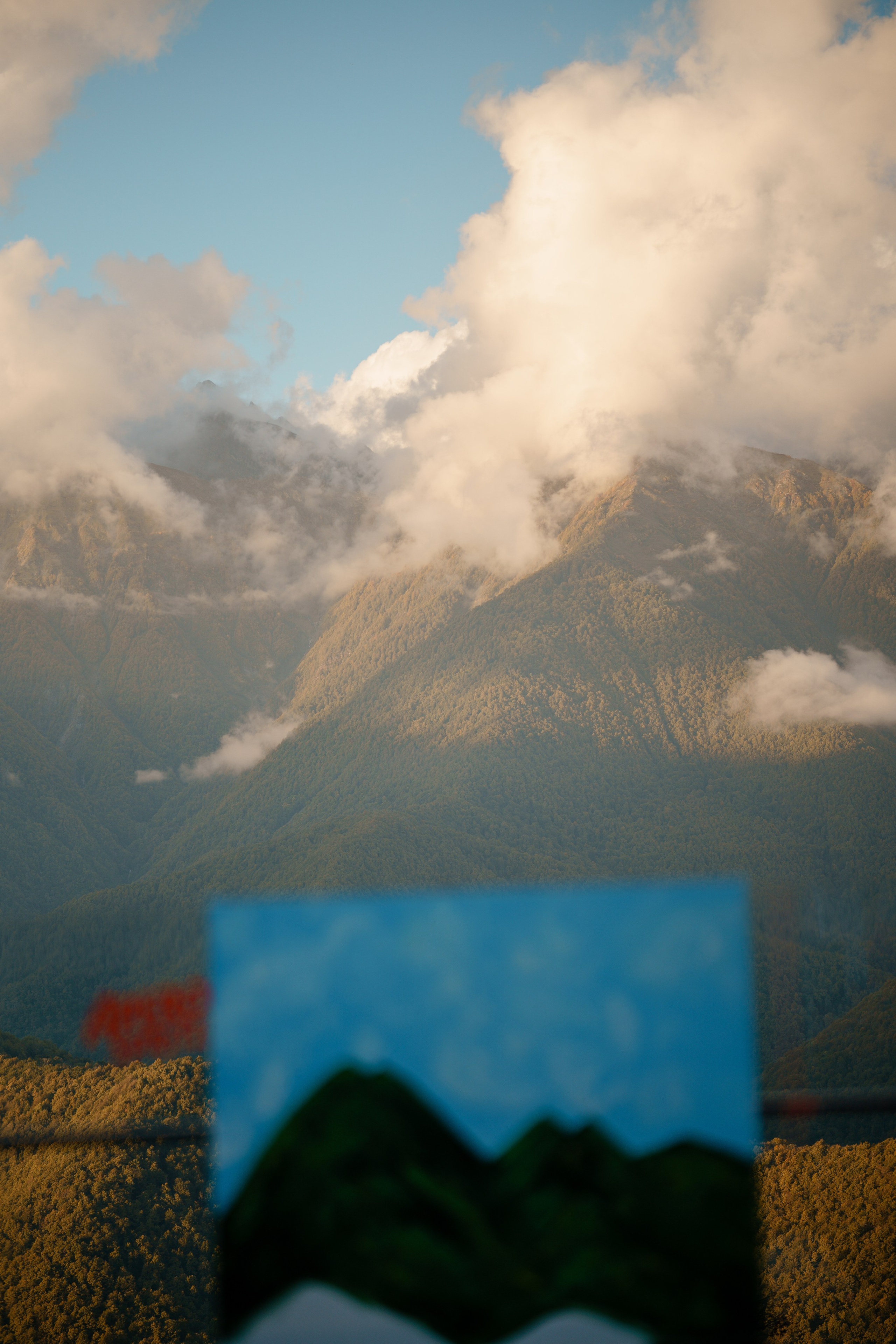 Репортажный фотограф в Сочи. Репортажный фотограф в Москве Саша Дружинина