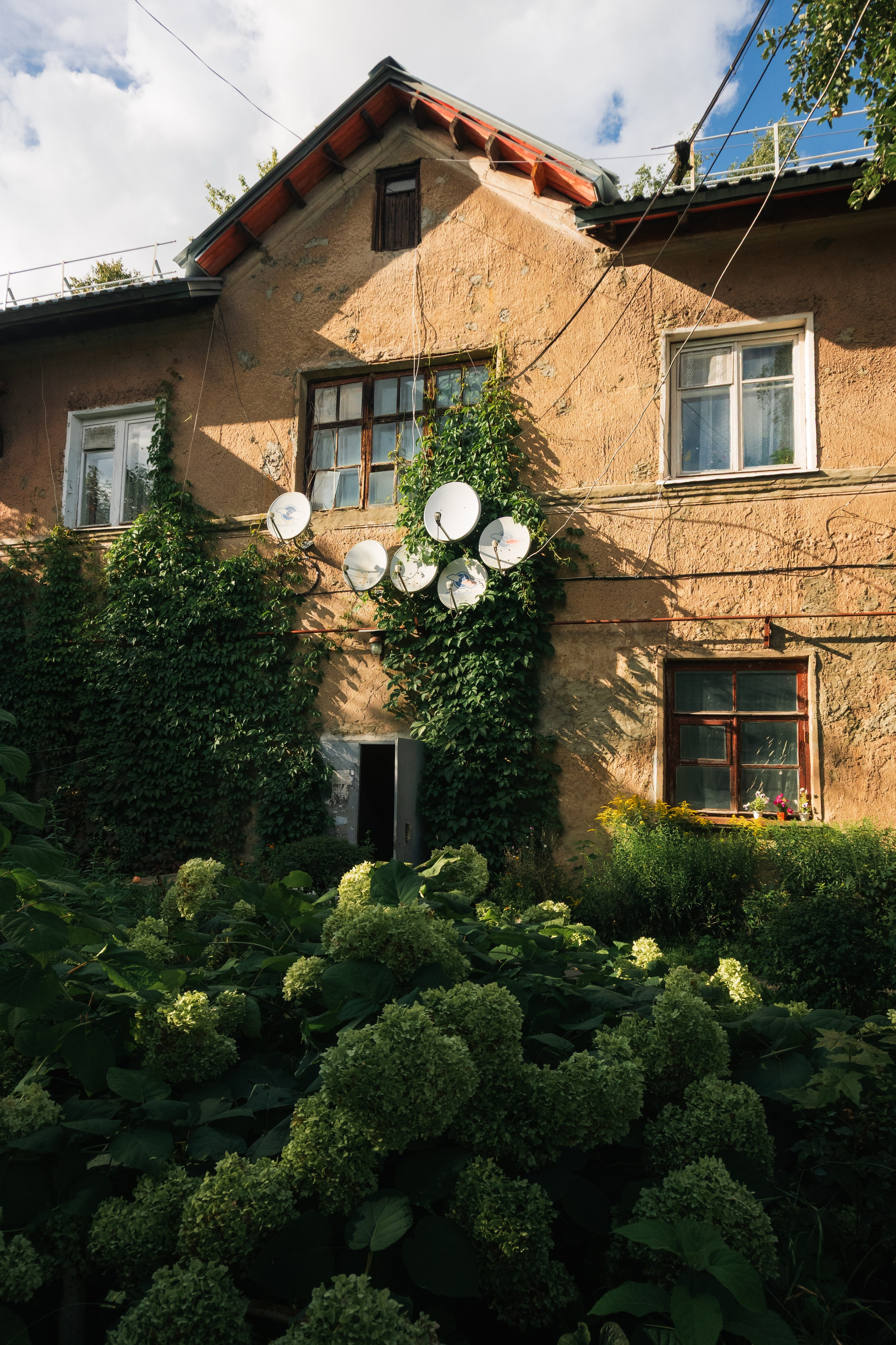 Липки. Фотограф и видеооператор в Туле | Даниил Рыбак