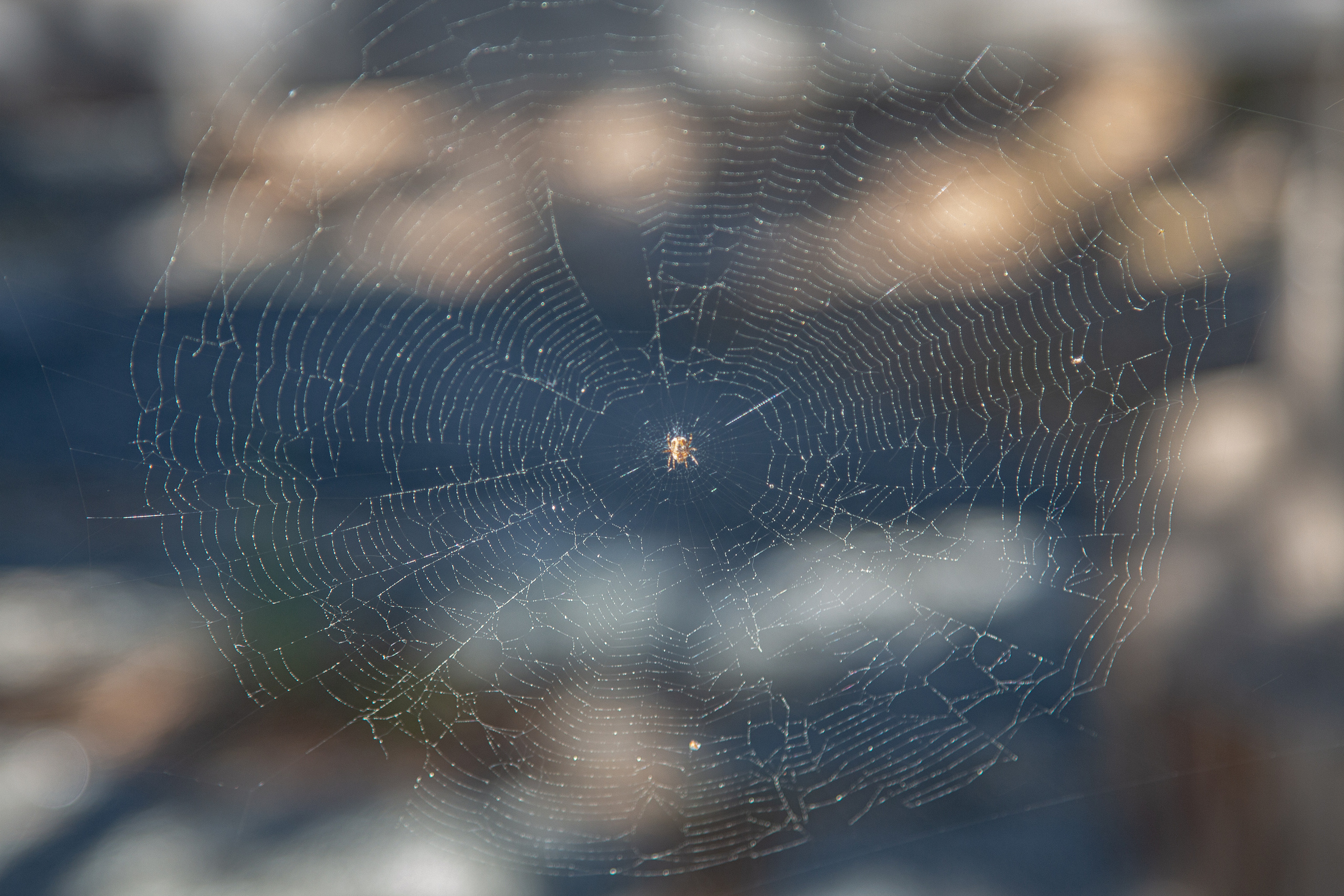 Кий остров. Фотограф — путешественник Светлана Романовская