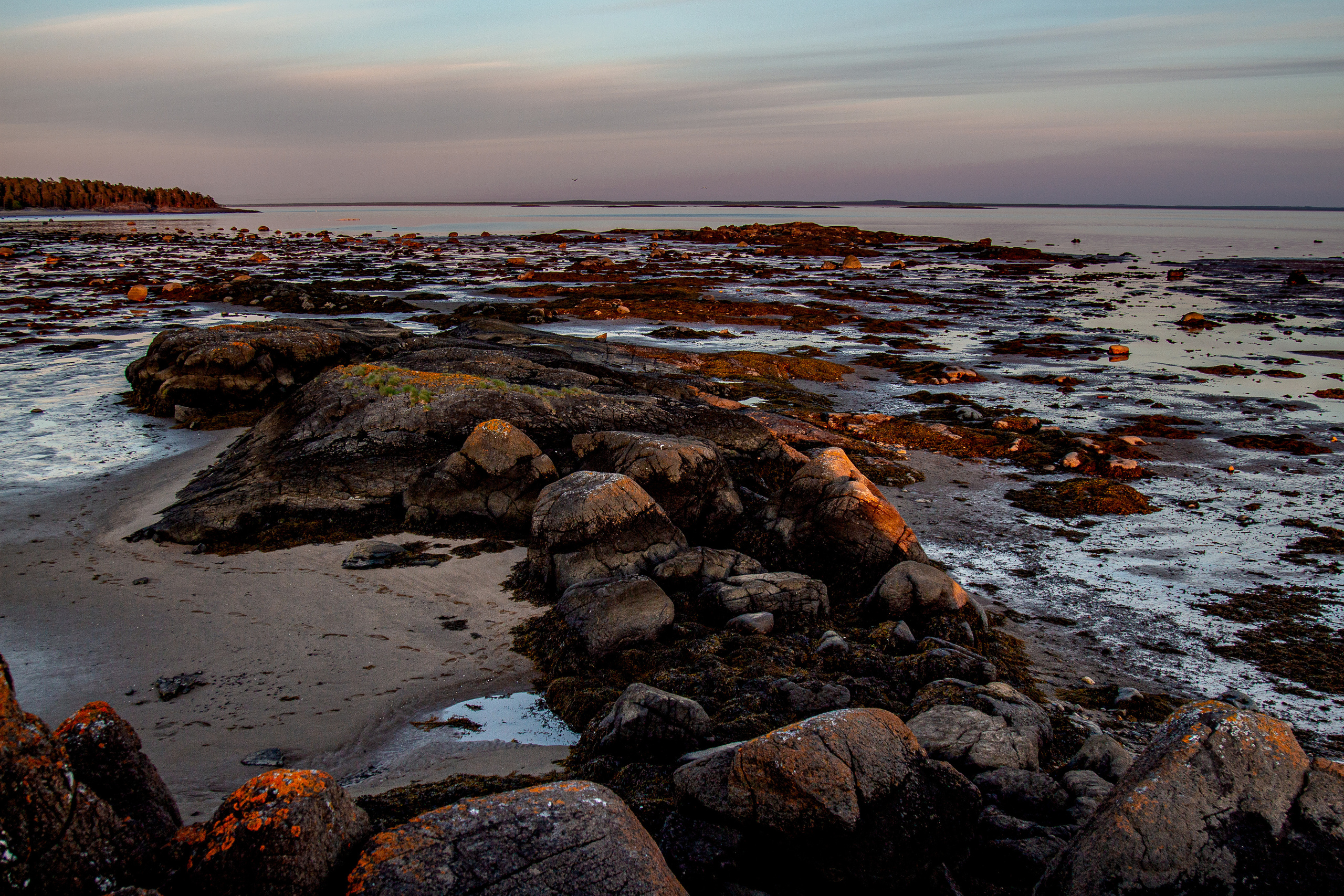 Отлив на рассвете в Белом море на острове. 