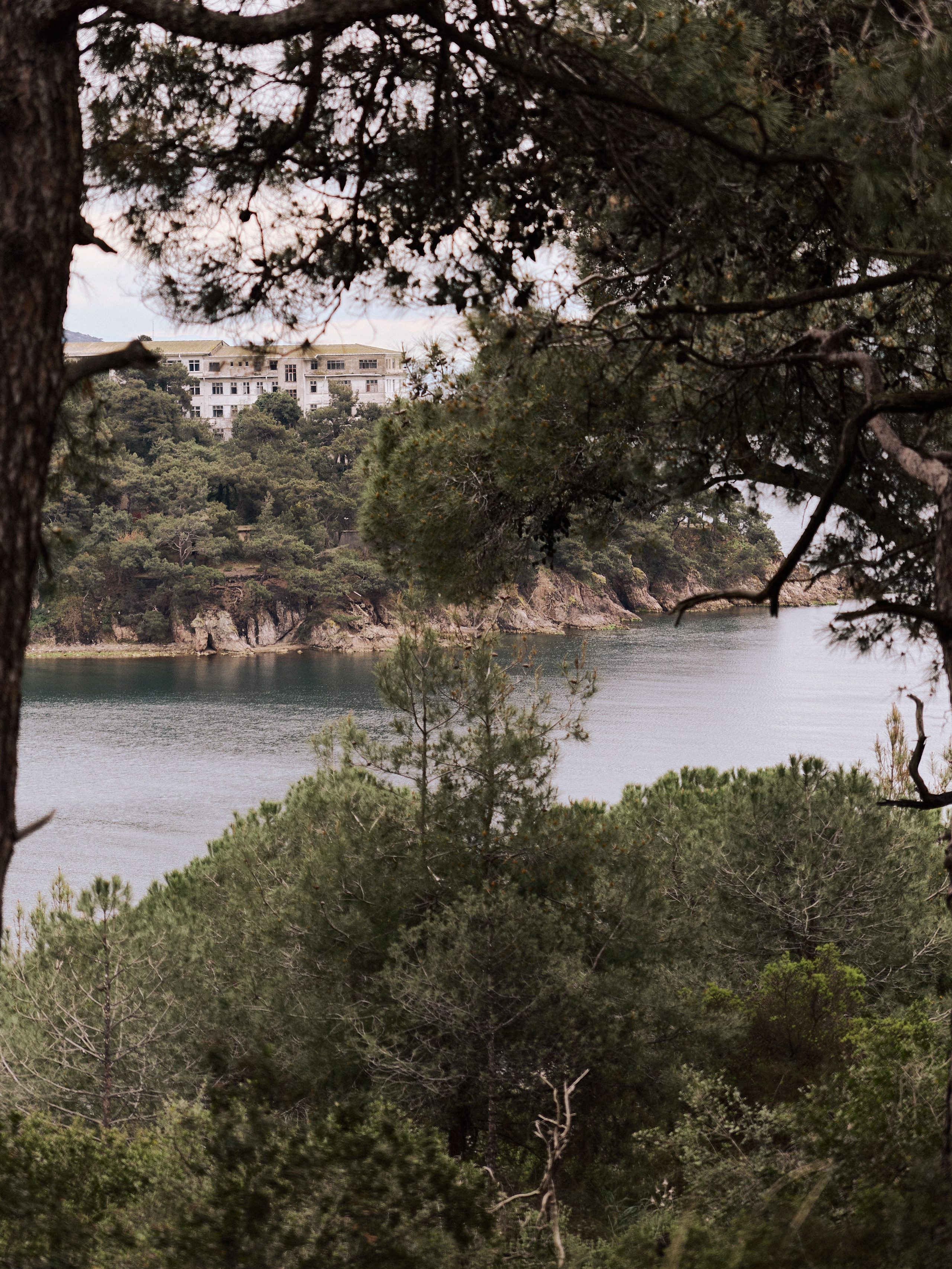 Природа сквозь. Jorgis Talè — photographer, kind person, teacher of arts and other mag