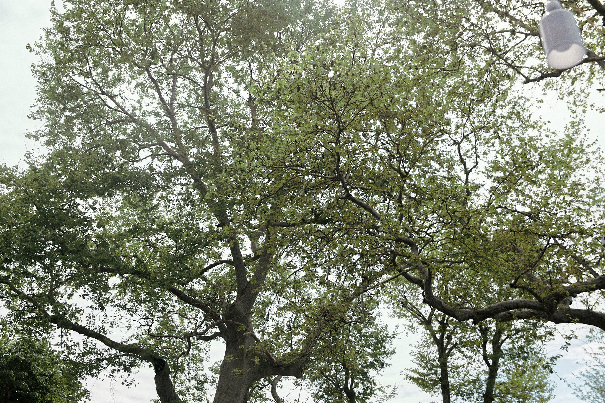 Улица горизонтальная. Jorgis — фотограф в Хургаде / обучение фотографии