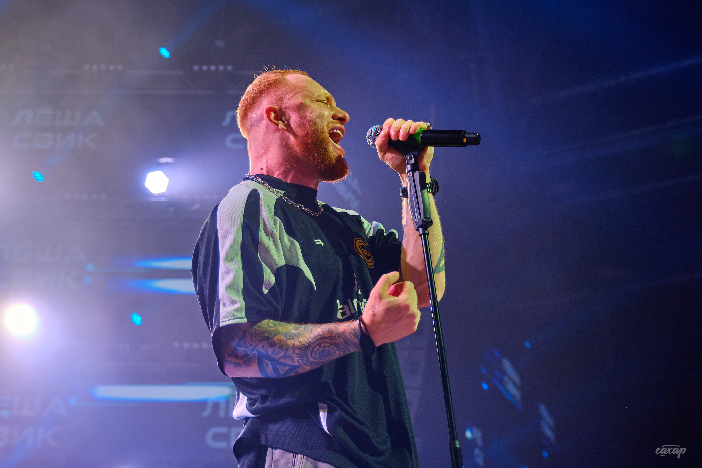 Лёша Свик. фотографии с концерта. Концертный Фотограф Юра Сахар