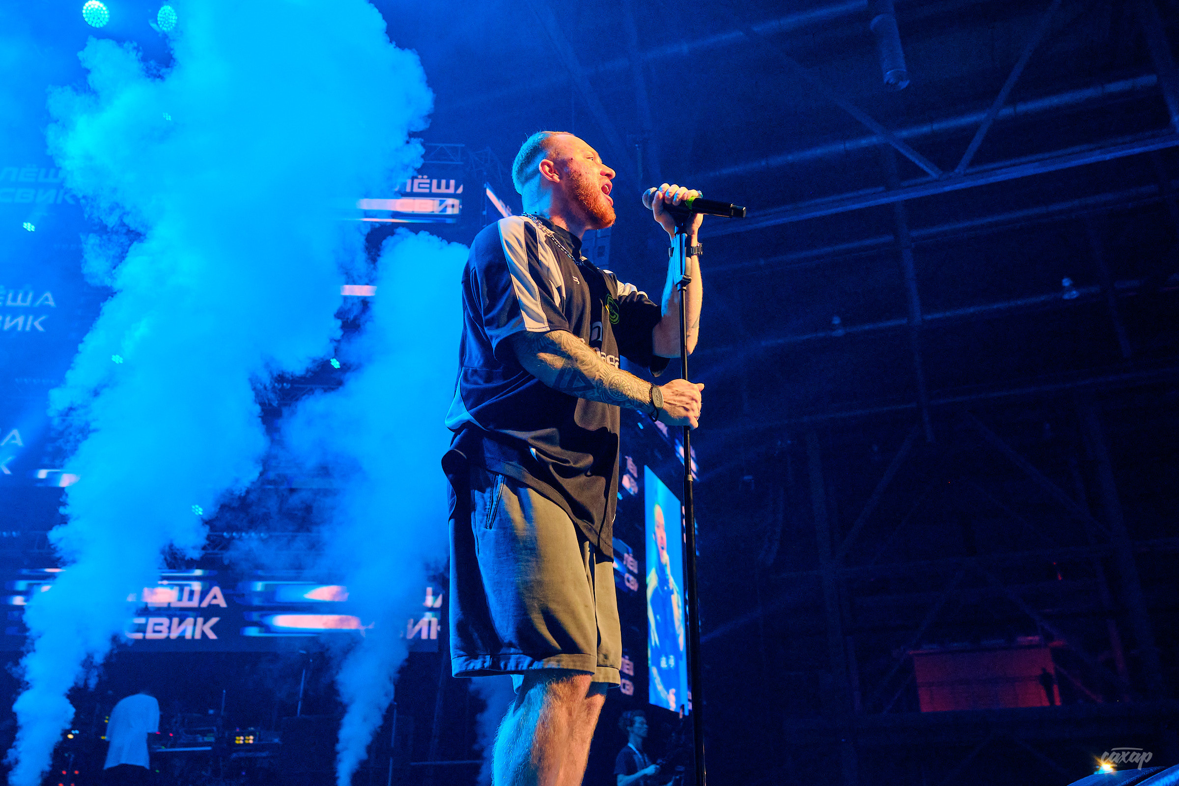 Лёша Свик. фотографии с концерта. Концертный Фотограф Юра Сахар