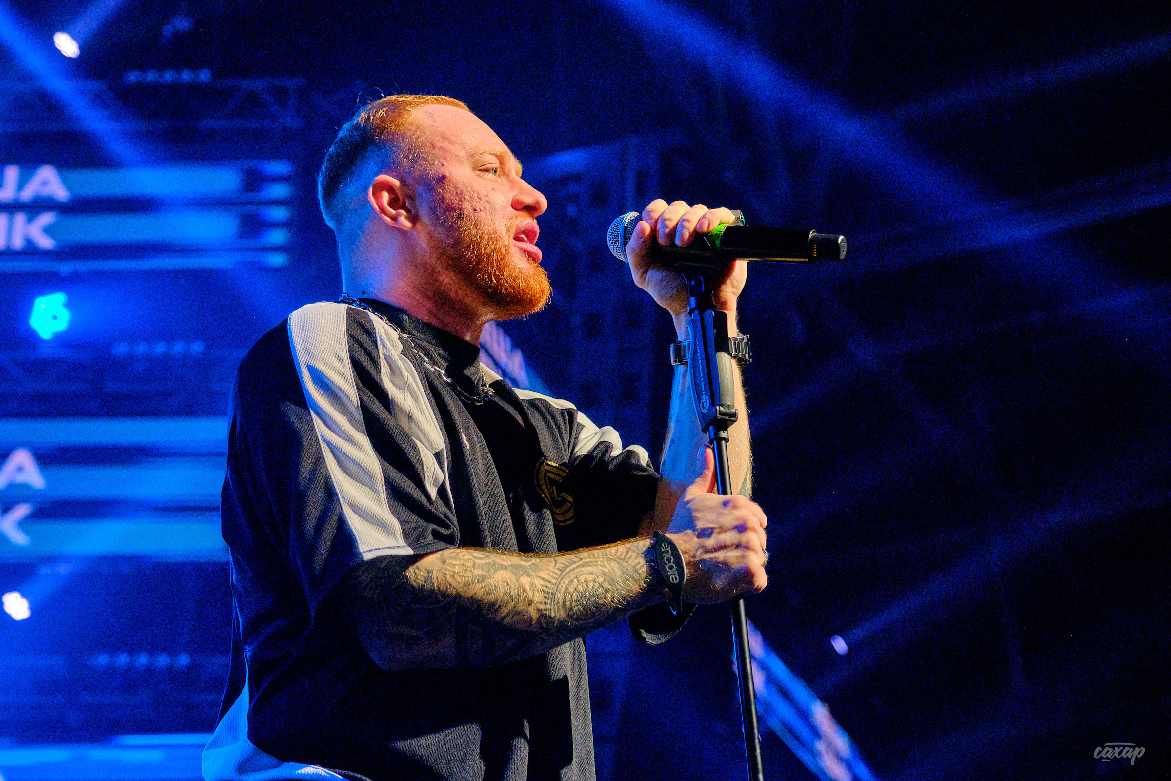 Лёша Свик. фотографии с концерта. Концертный Фотограф Юра Сахар