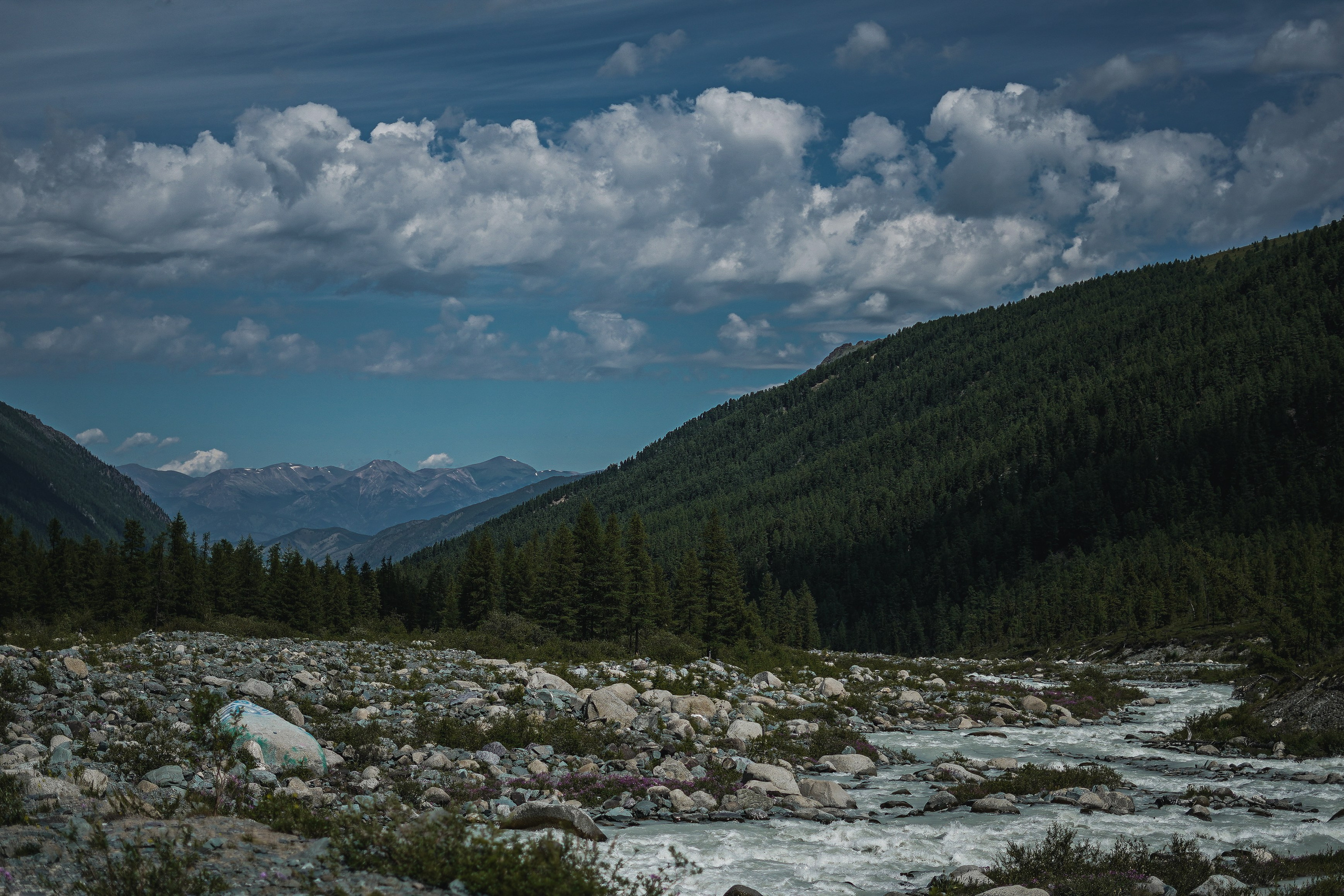 Алтай, поход к Белухе 2023. Фотограф Ольга Пучкова