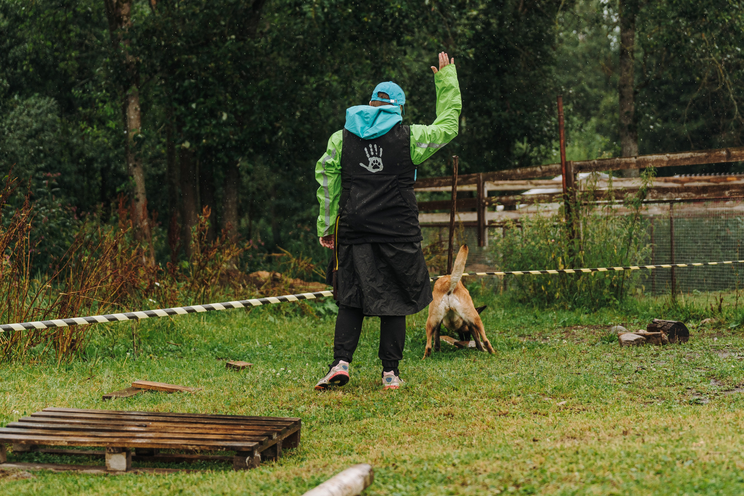 Соревнования по ноузворку в Новожилово. Фотограф анималист в Спб недорого Олеся Майорова