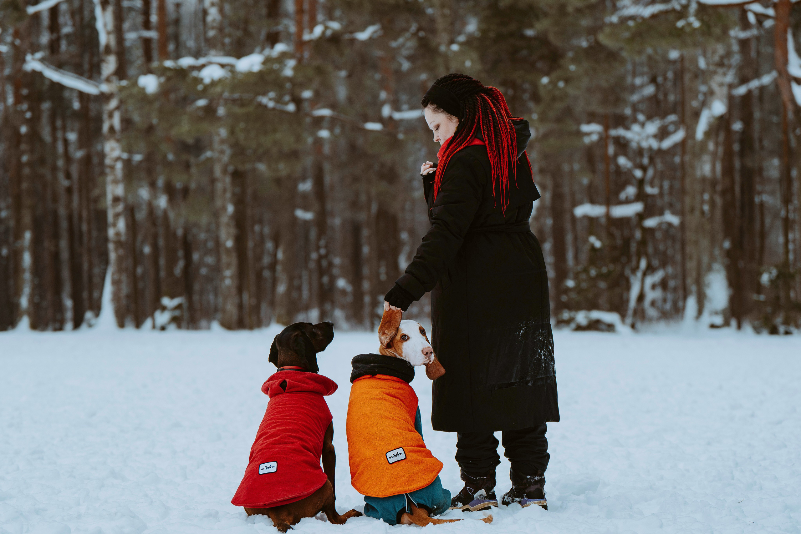 Ольга, Рора и Румпель. Фотограф анималист в Спб недорого Олеся Майорова