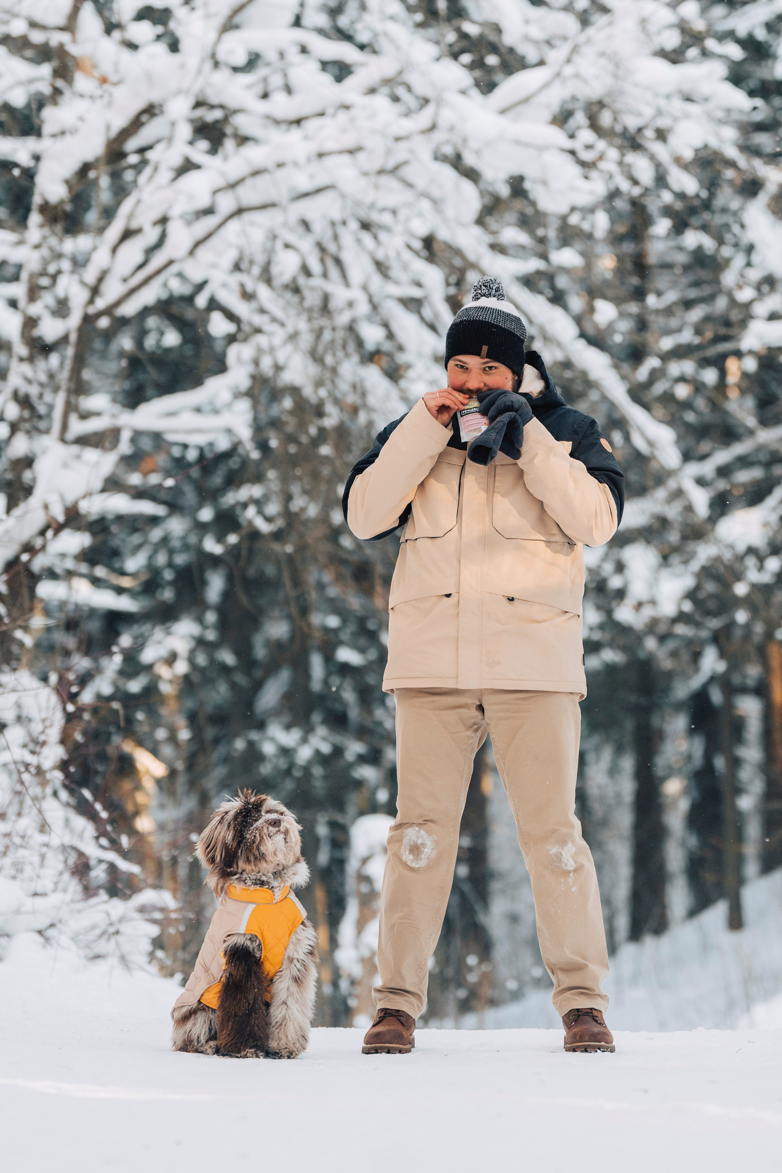 Хэйзел и её семья. Фотограф анималист в Спб недорого Олеся Майорова