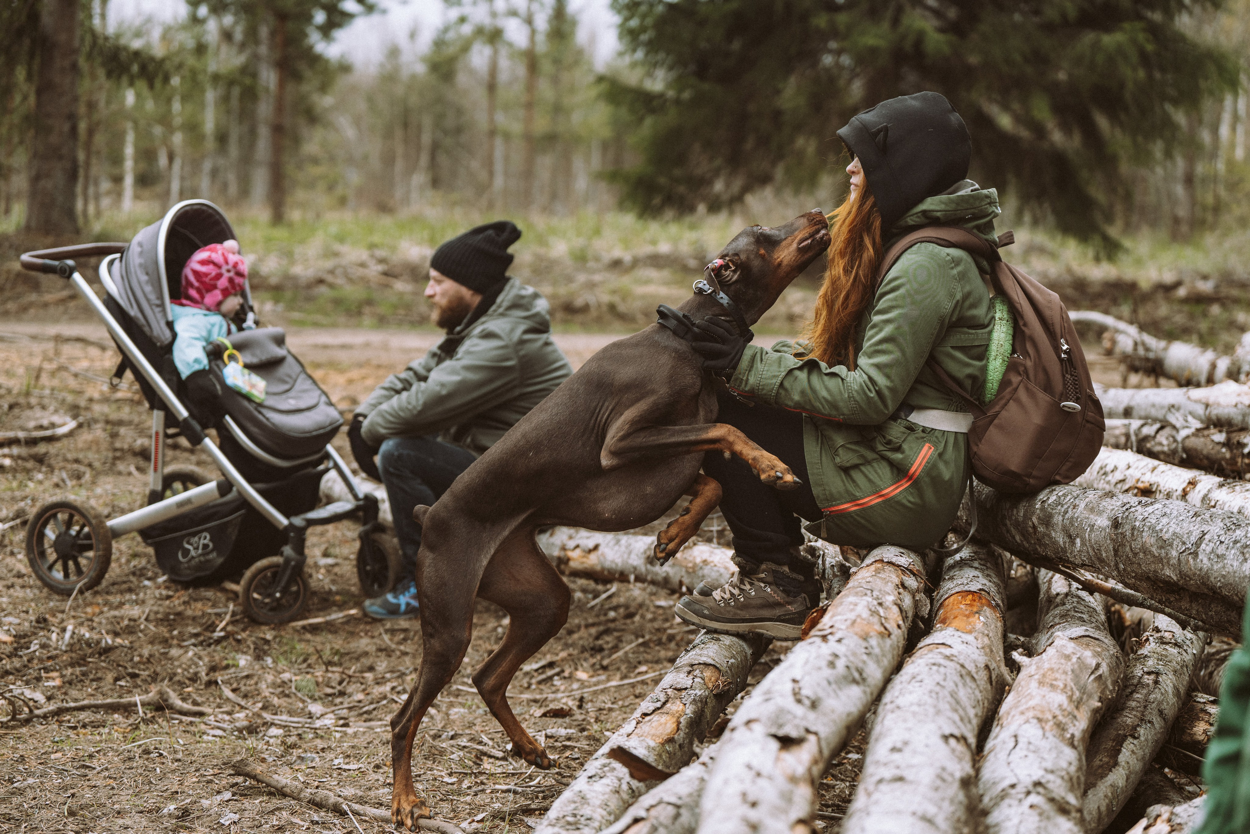 Дог трекинг к финскому хутору. Фотограф анималист в Спб недорого Олеся Майорова