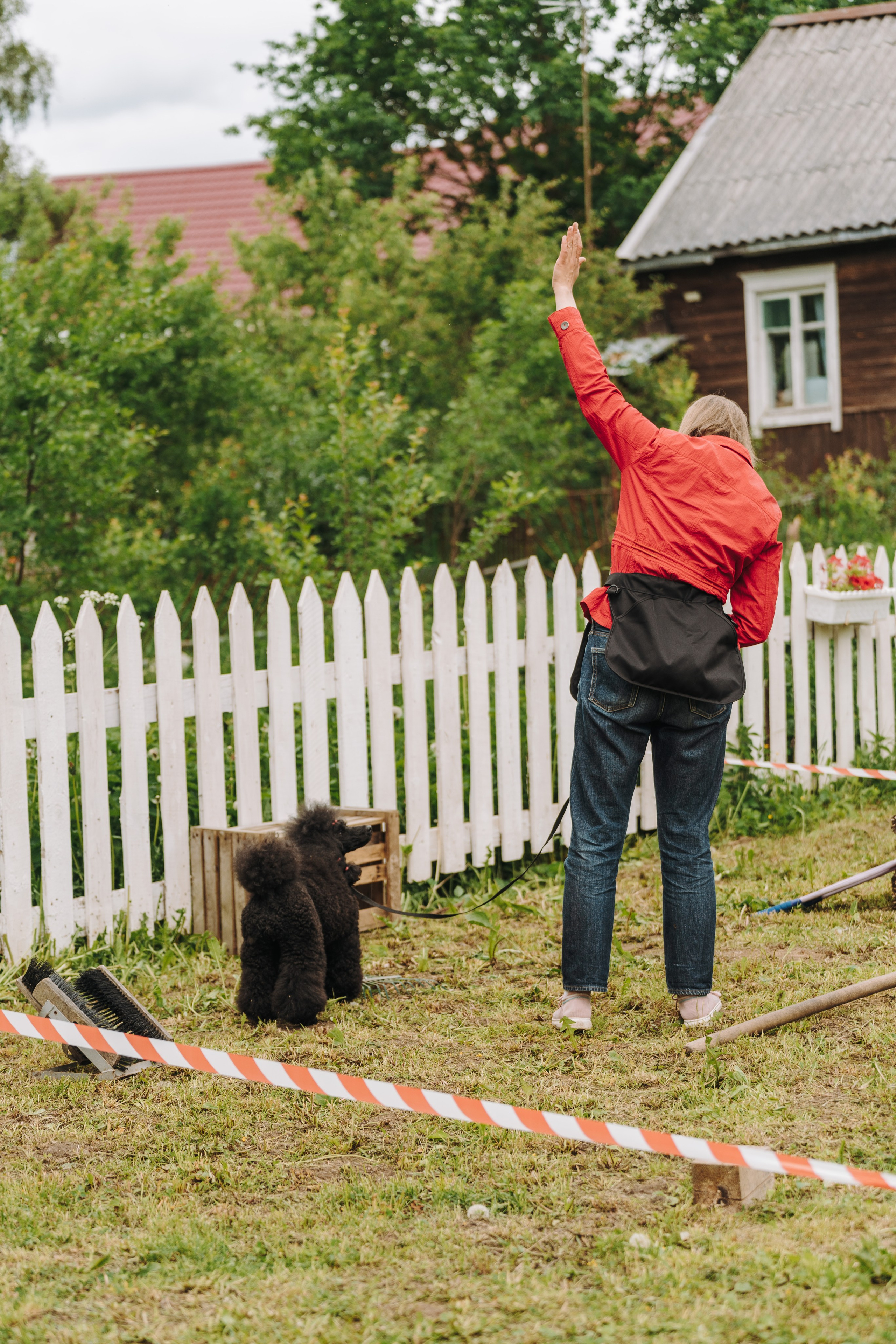 Соревнования по ноузворку. Фотограф анималист в Спб недорого Олеся Майорова