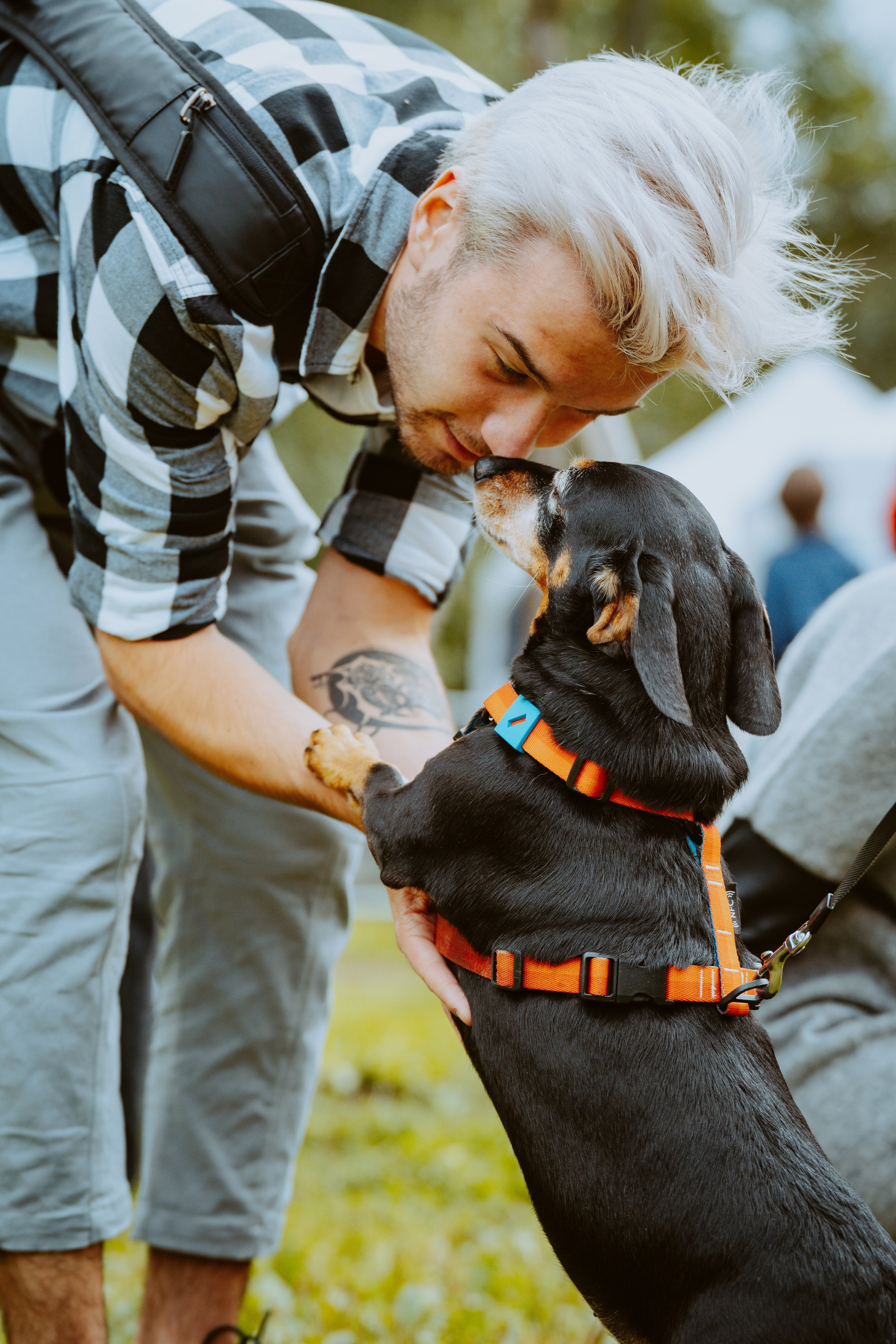Такспарад. Фотограф анималист в Спб недорого Олеся Майорова