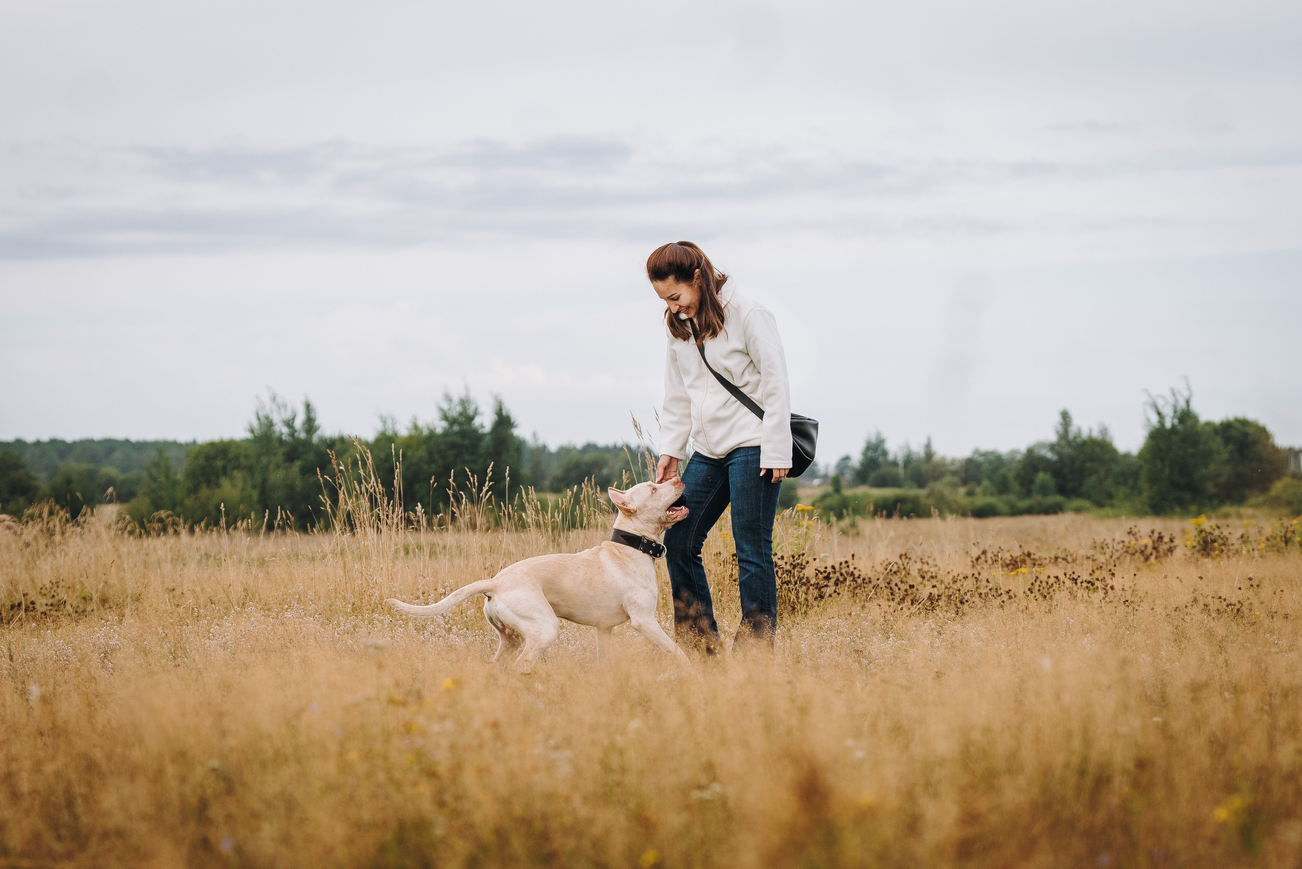 Оля и Гламур. Фотограф анималист в Спб недорого Олеся Майорова