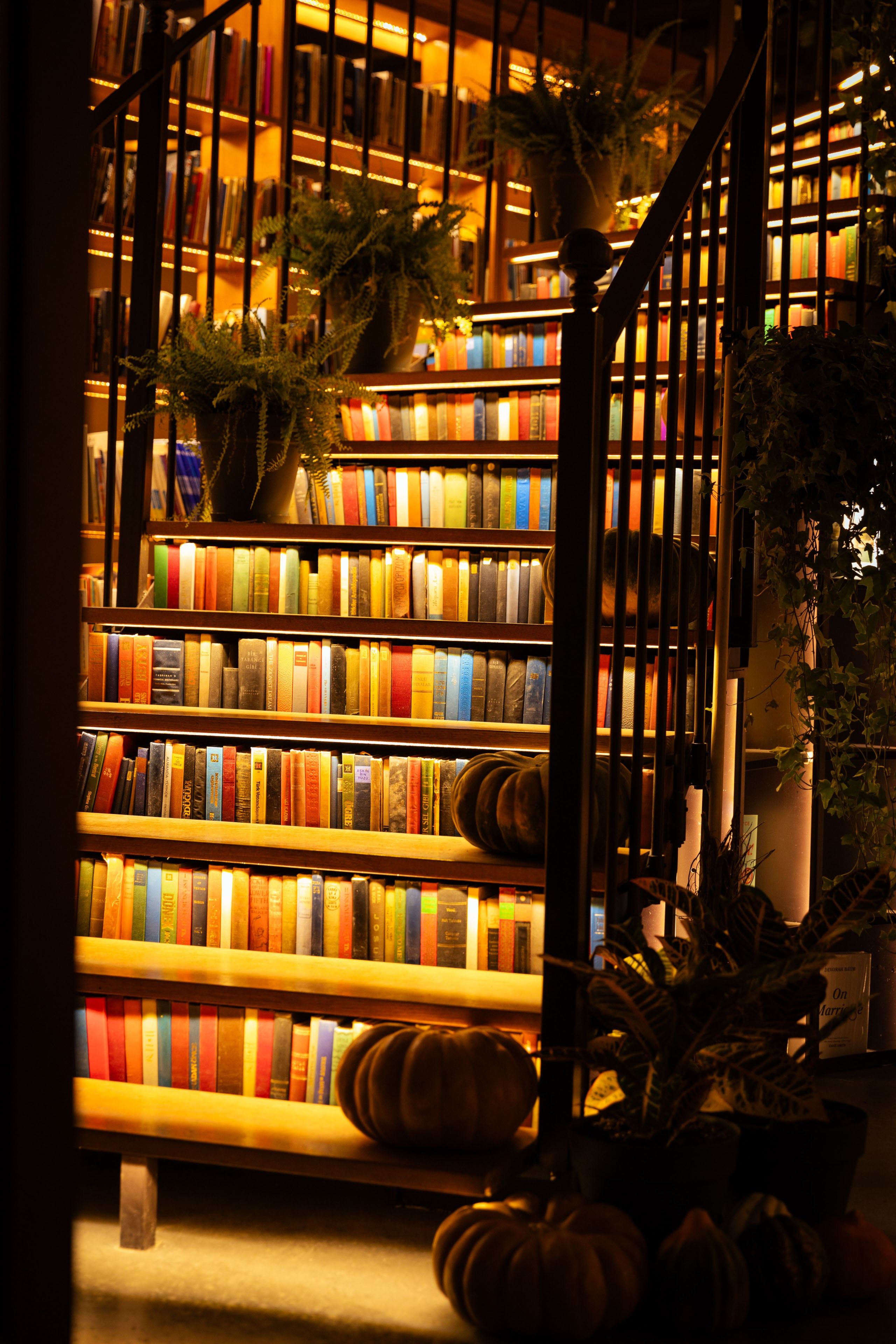 Турция (осень 2023). Фотограф Виноградов Константин