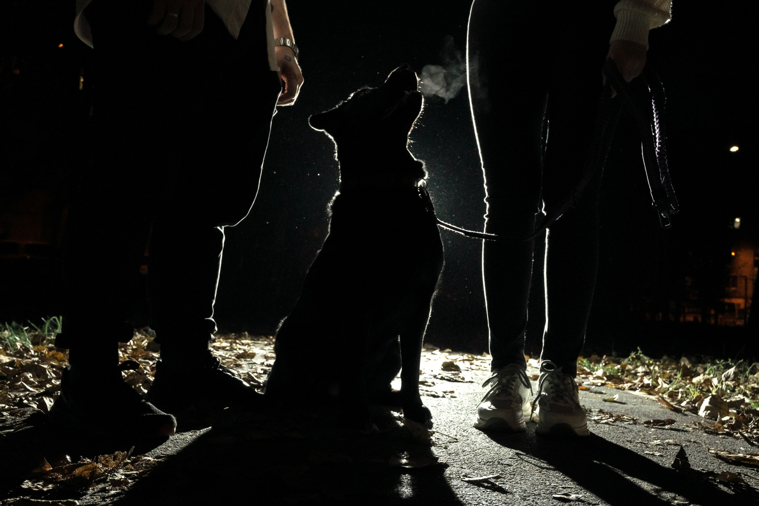 Вика&Даня. Фотограф и видеограф в Тюмени Екатерина Чернецкая