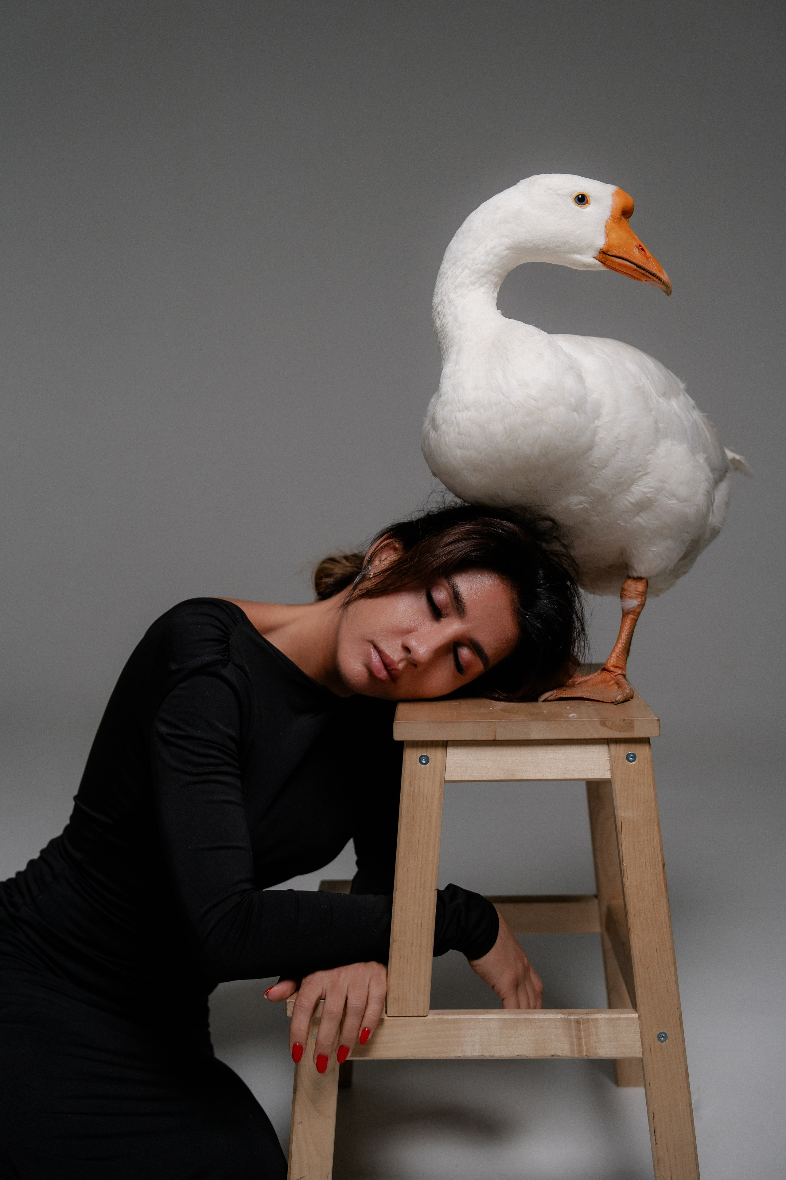 Юля и Гусь. Фотограф на мероприятие