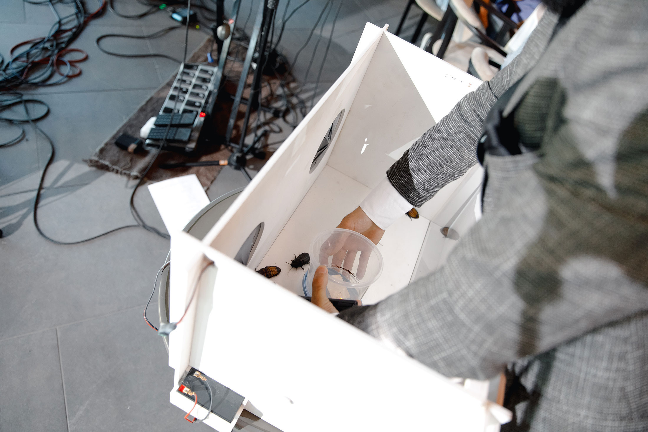 Свадьба Валерия и Анастасии. Свадебный фотограф Михаил Симонов