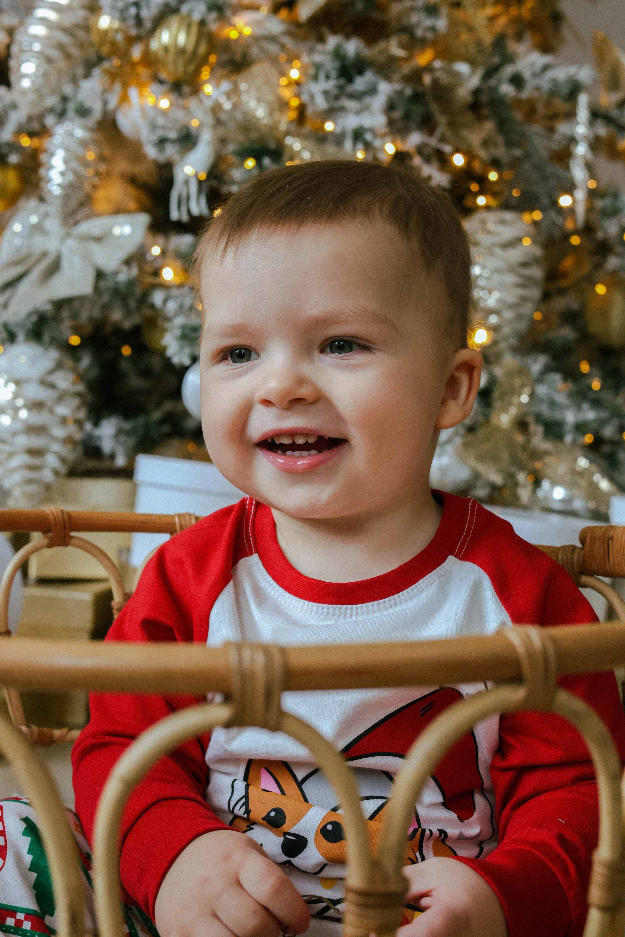 Новогодняя история «Анастасия и ее семья». Фотограф в Москве Анастасия Калинина