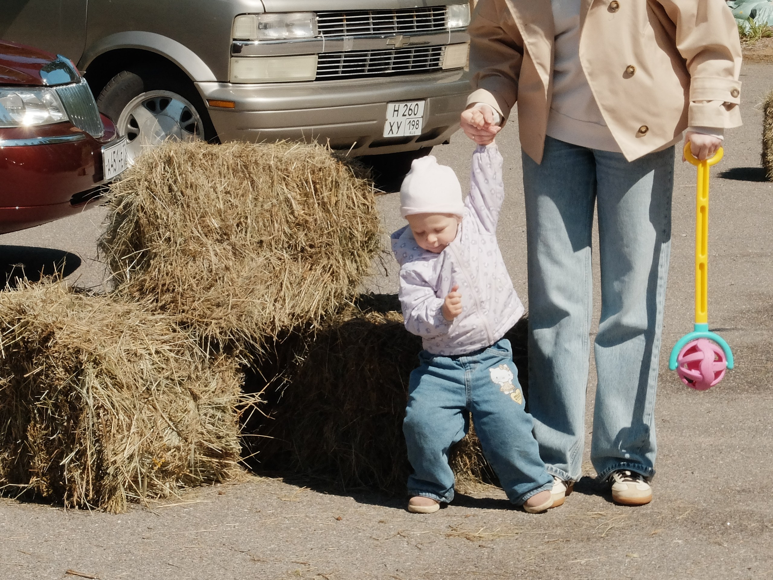 RYE MEET 2026