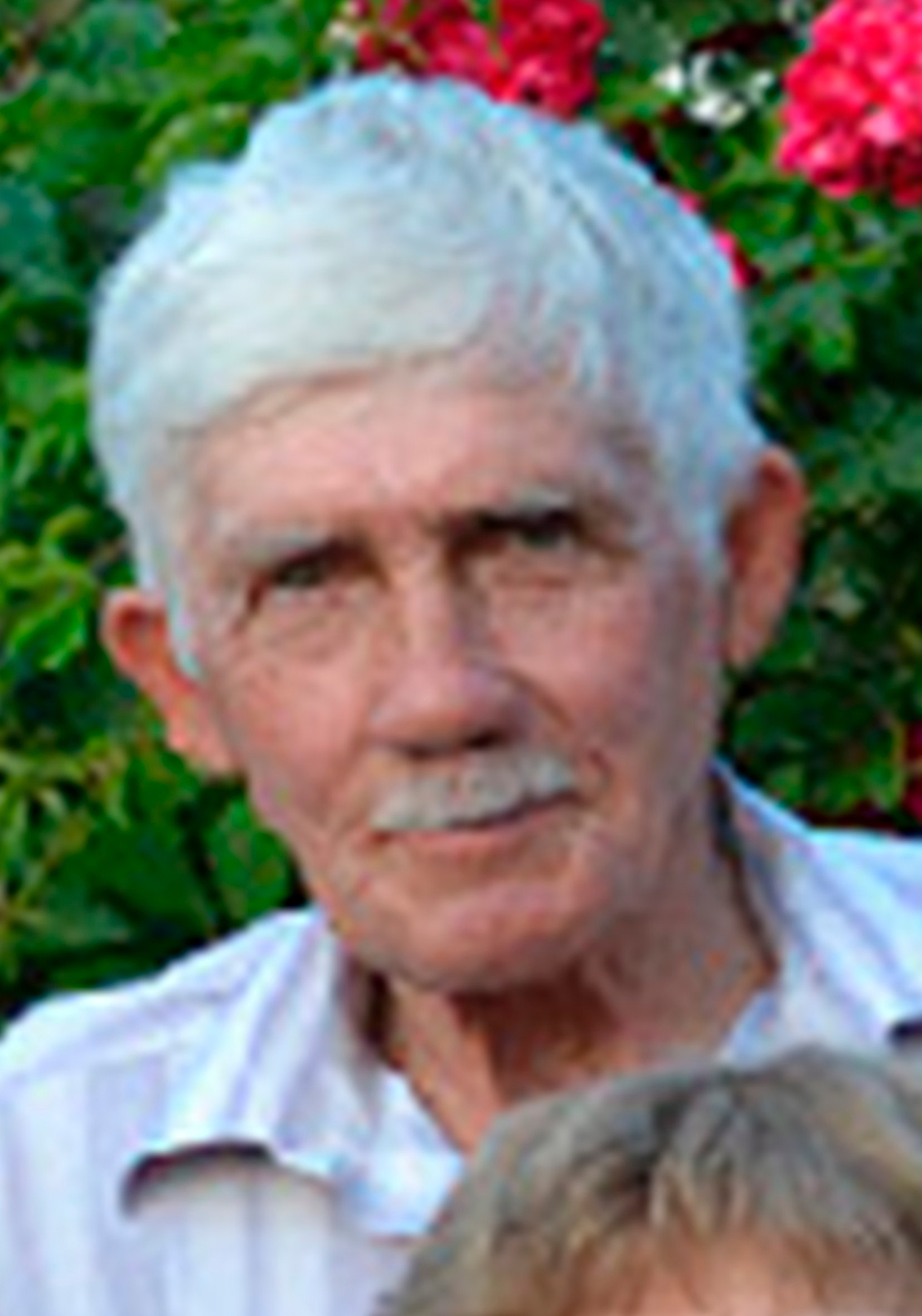 Мастер-класс «Реставрация фотографий». Уроки по фотошопу простым языком