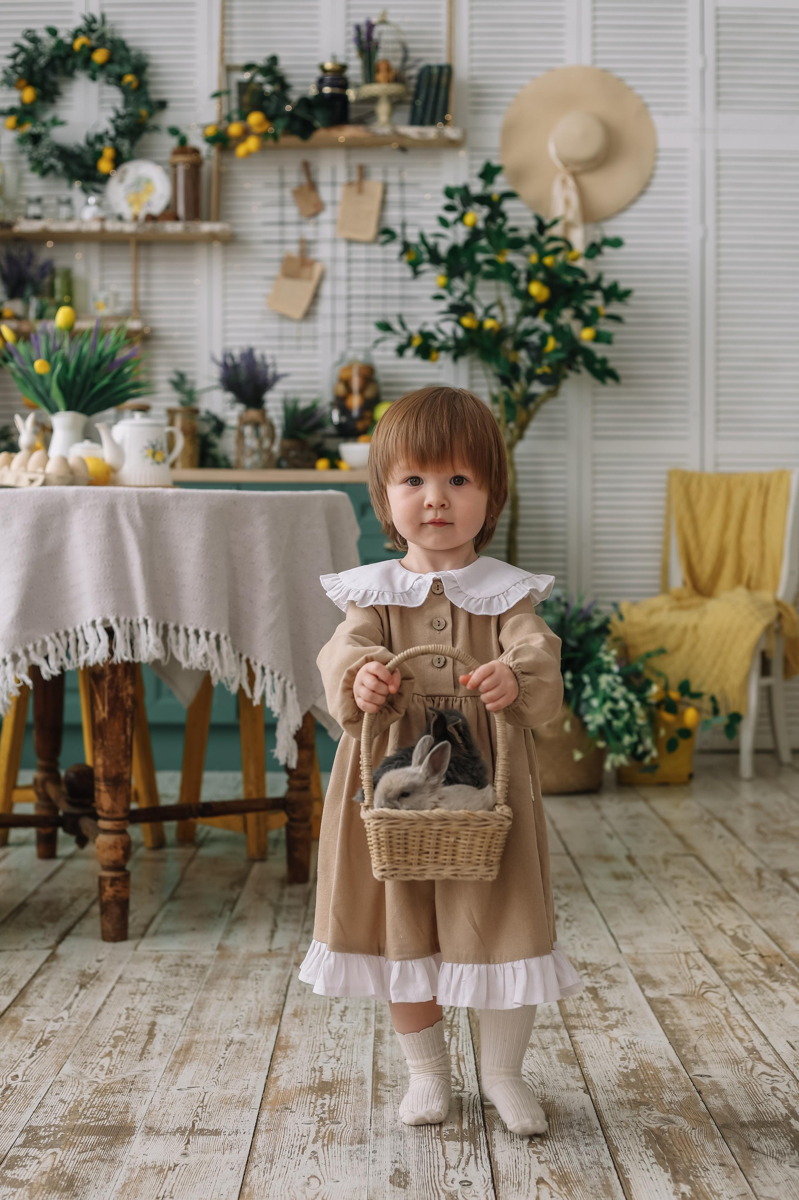 Утята. Фотограф и видеограф Анна Домашенко