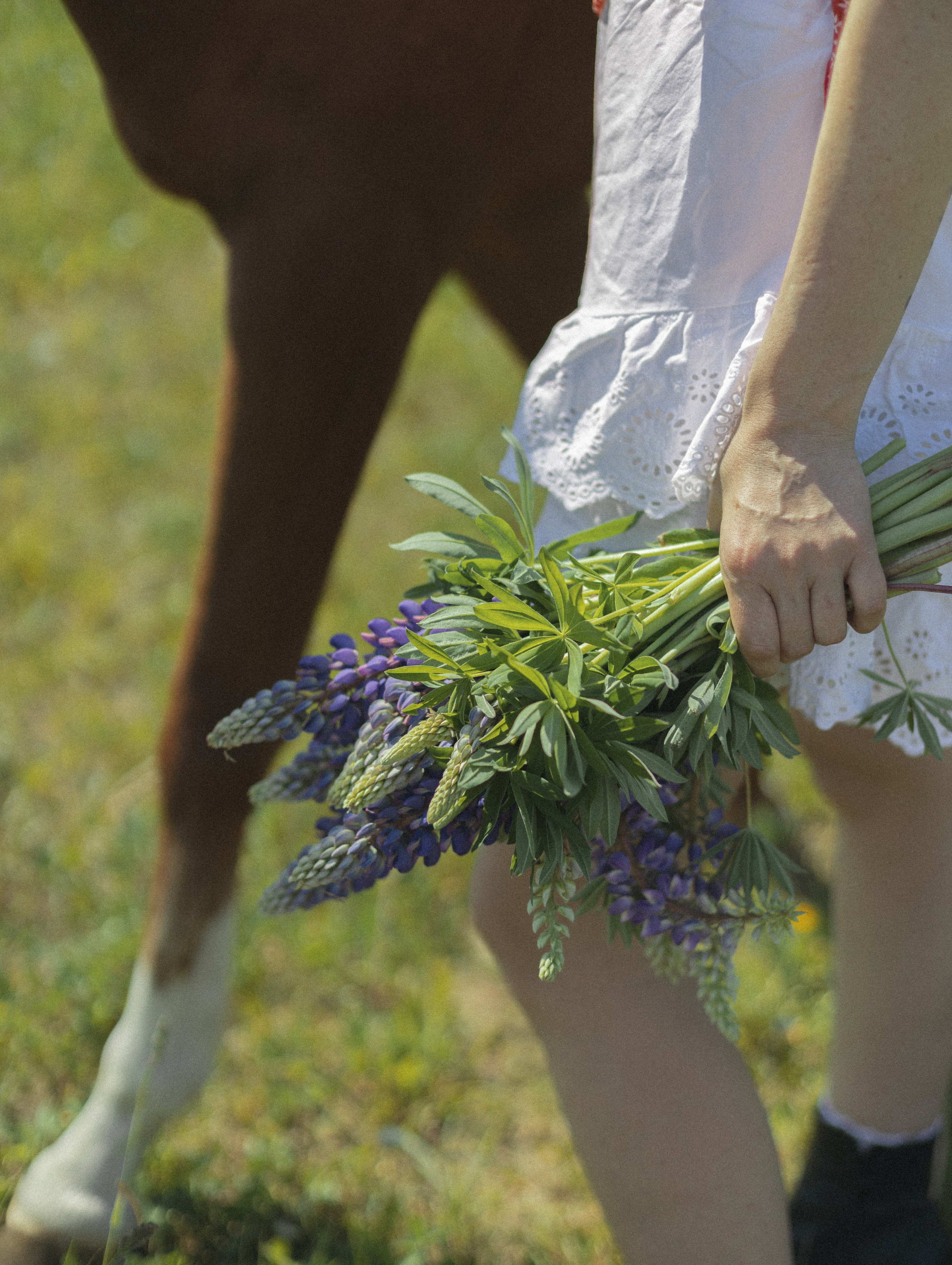 Таня и Фаня. Фотограф Евгения Счастливая, Нижний Новгород, Москва