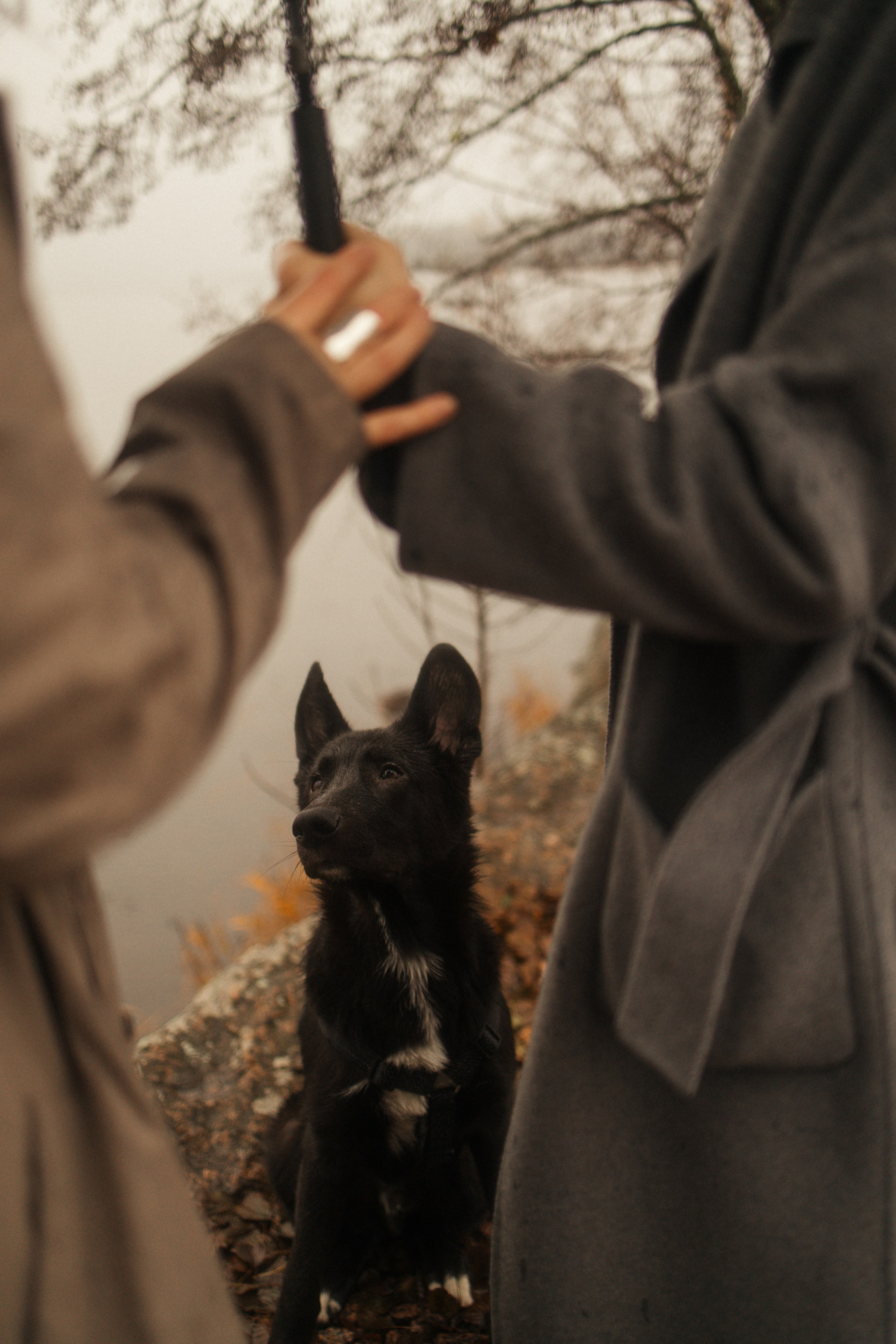 Лена, Глеб, Ральф и Рэй. Фотограф в Выборге и Санкт-Петербурге Маша Гуляева