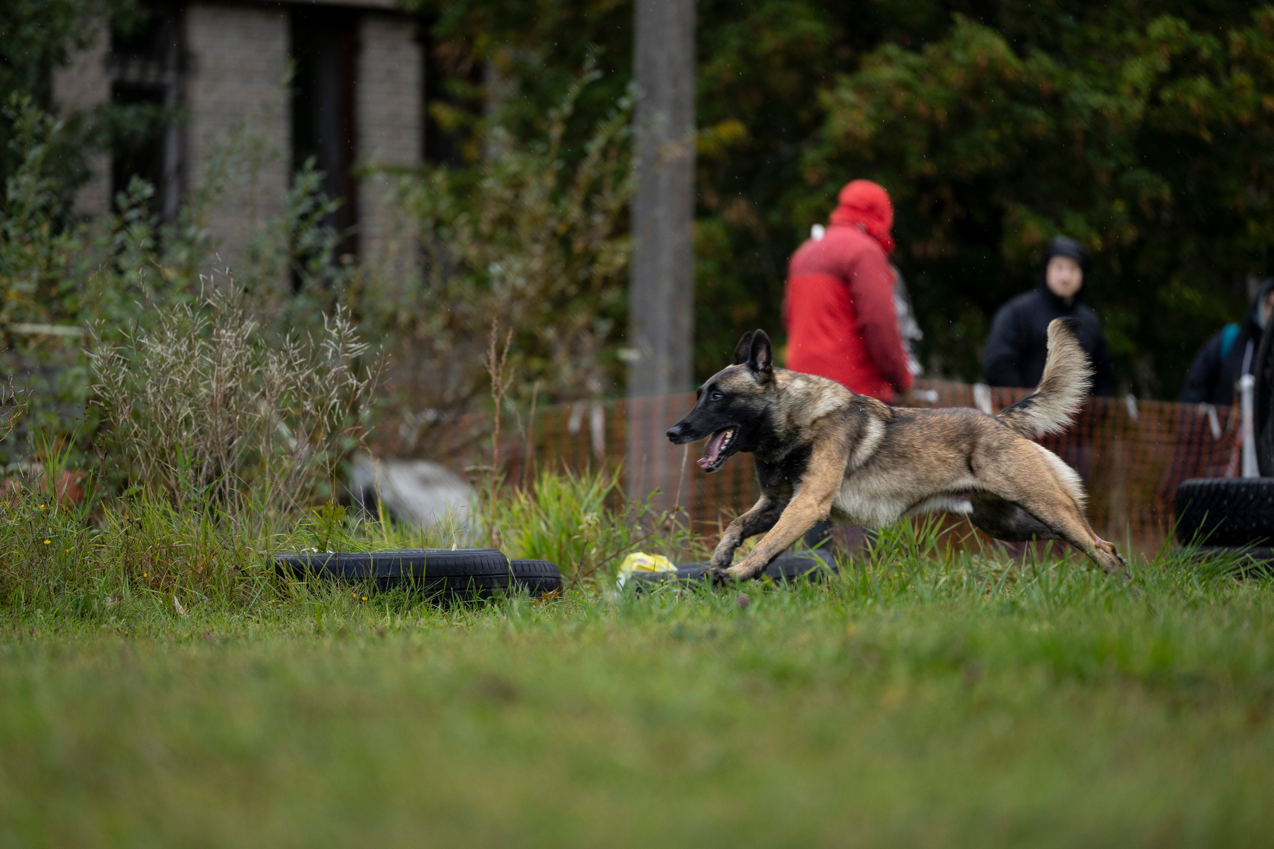 Испытания по Мондьорингу г. Пушкин. Фотограф-анималист Анна Маринич