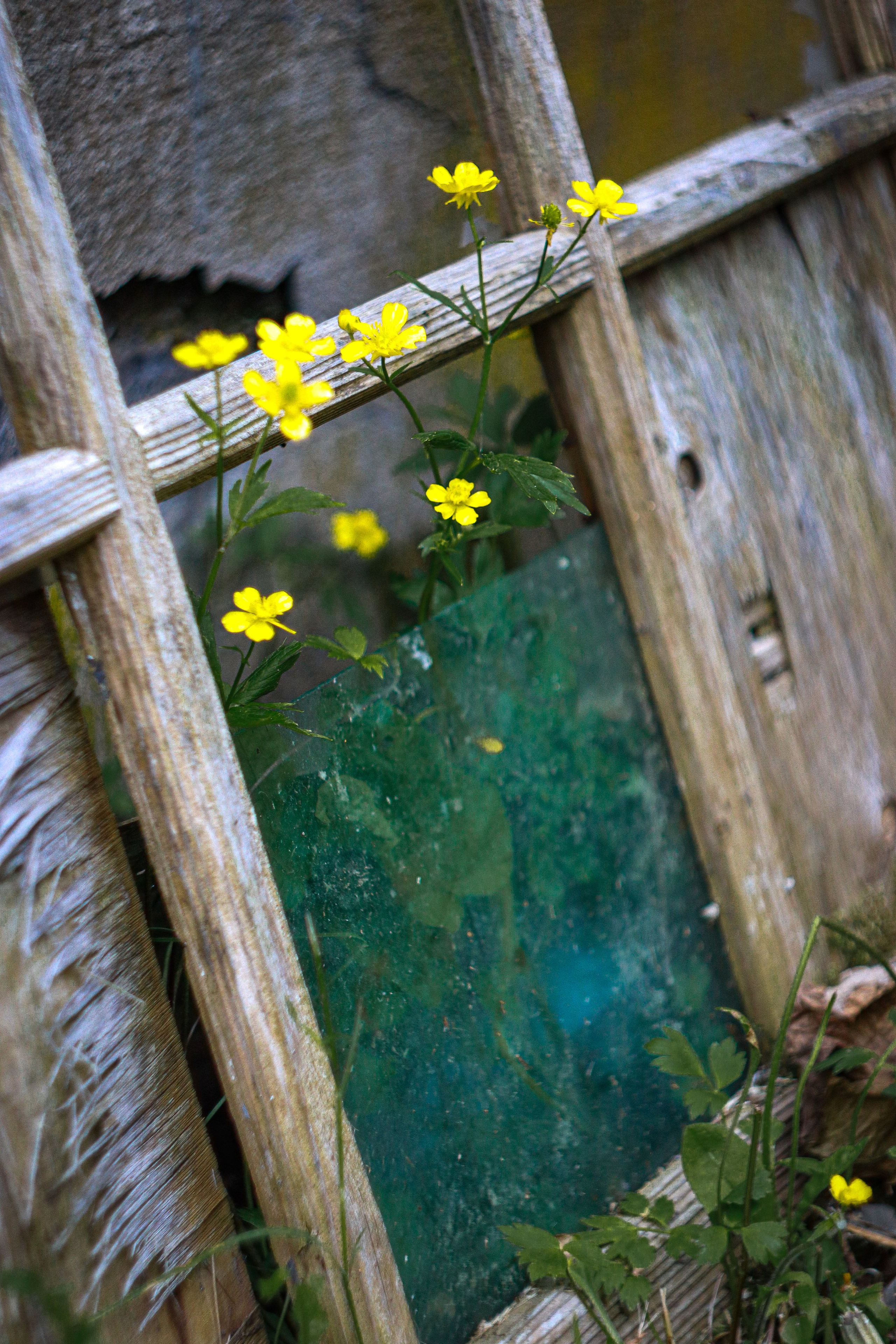 Маяк Тонин на мысе Свободном. Карафуто. Фотограф в Южно-Сахалинске Гусаков Евгений