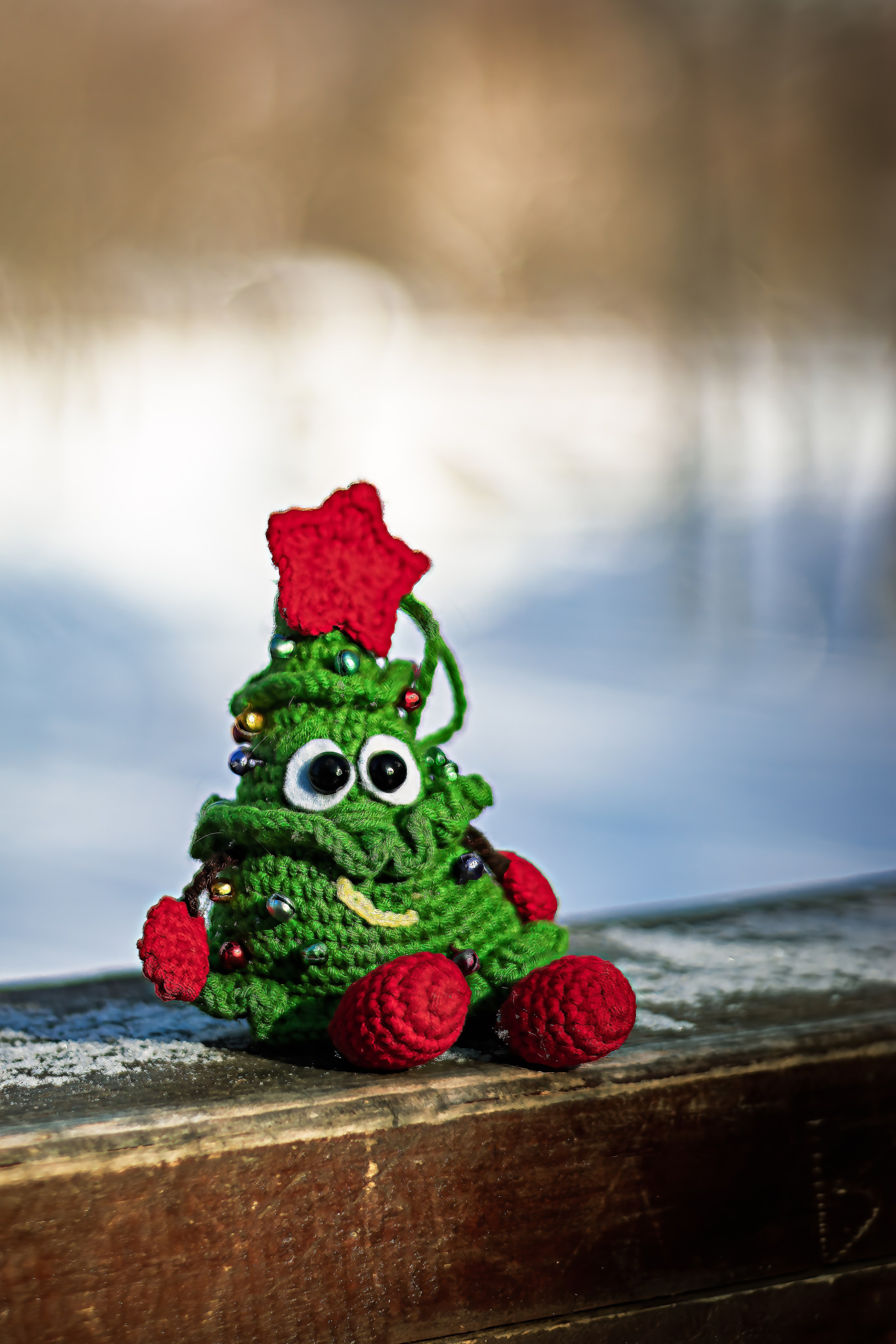 Зимняя сказка. Фотограф в Южно-Сахалинске Гусаков Евгений