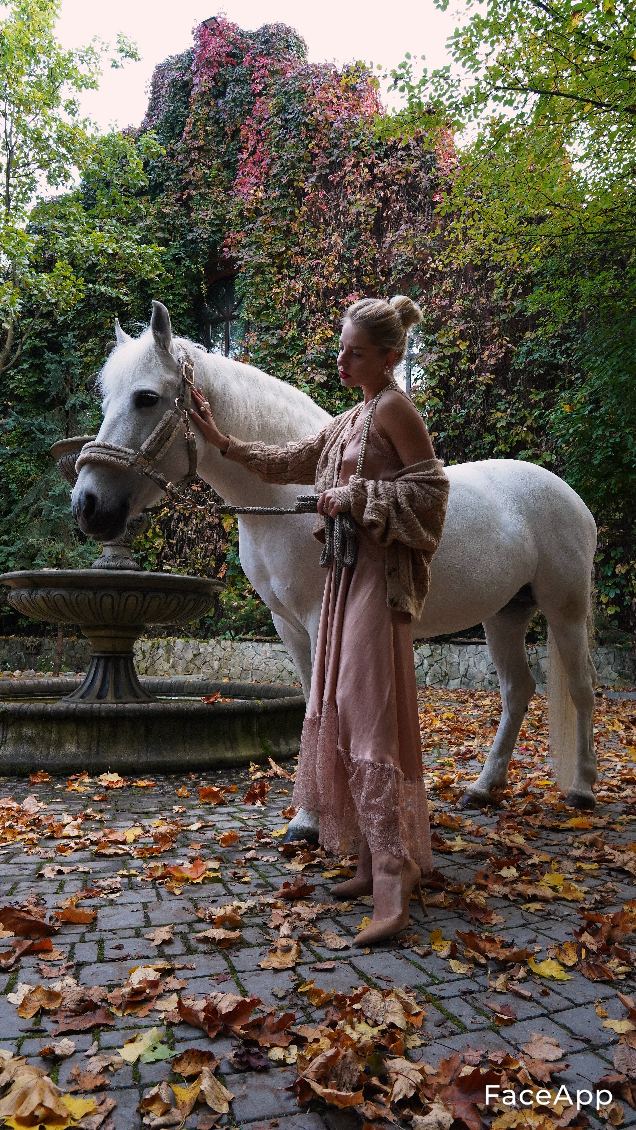 Фотосессия с лошадьми. Главная