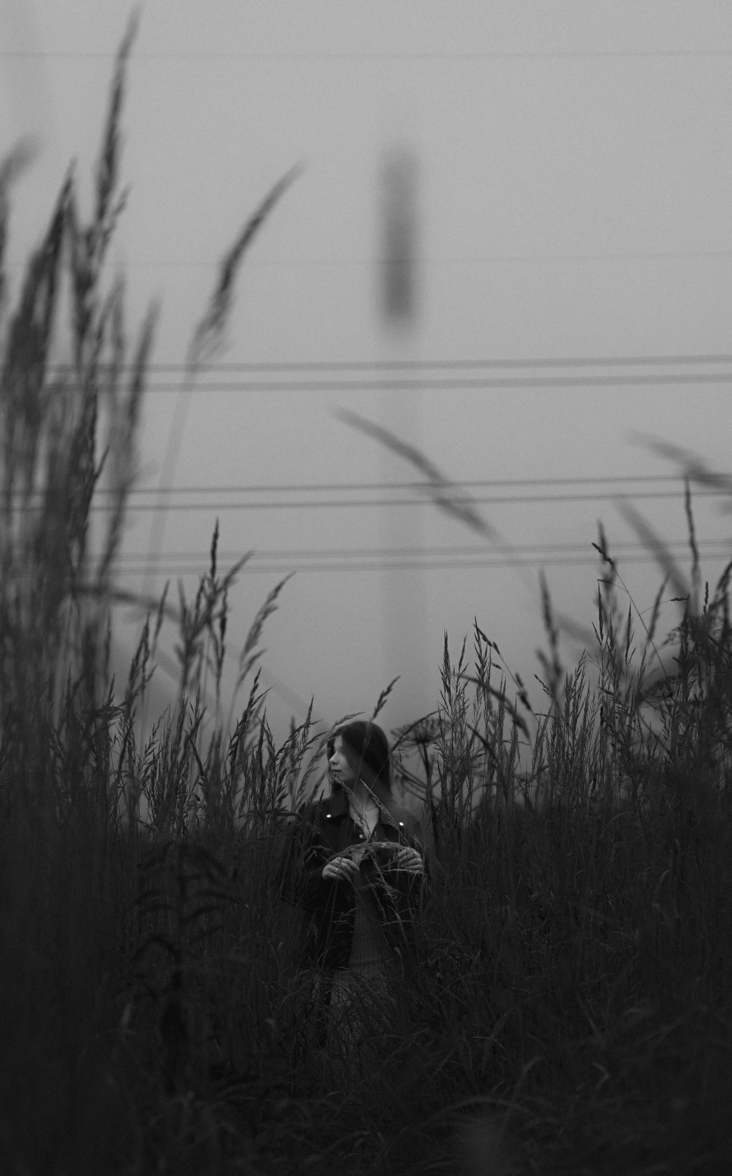 Сумерки. Елизавета Ковалевская — ваш профессиональный фотограф