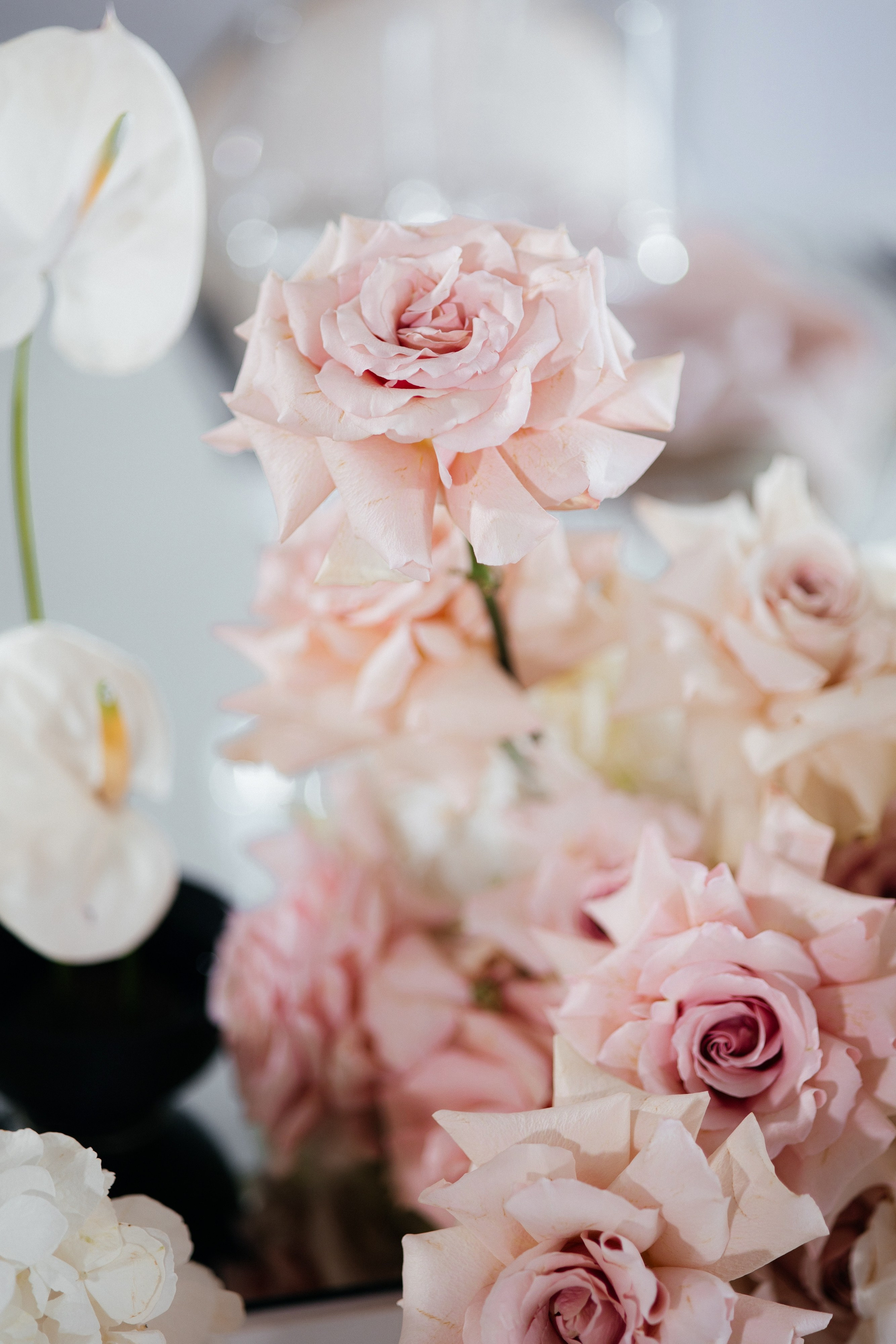 Ангелина и Сергей. Свадебный фотограф Минск РБ