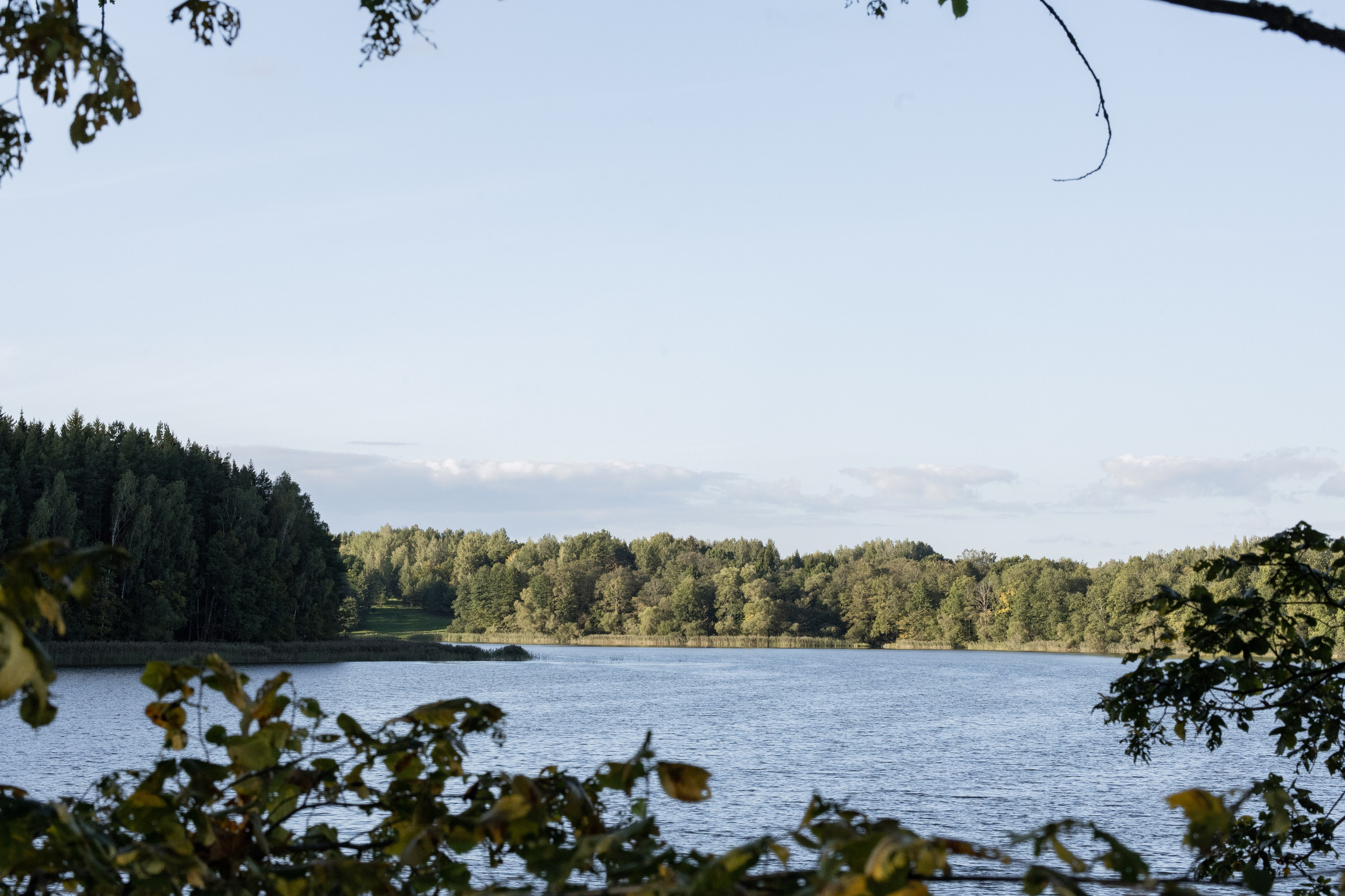 Андрей и Ксения. Свадебный фотограф Витебск Минск