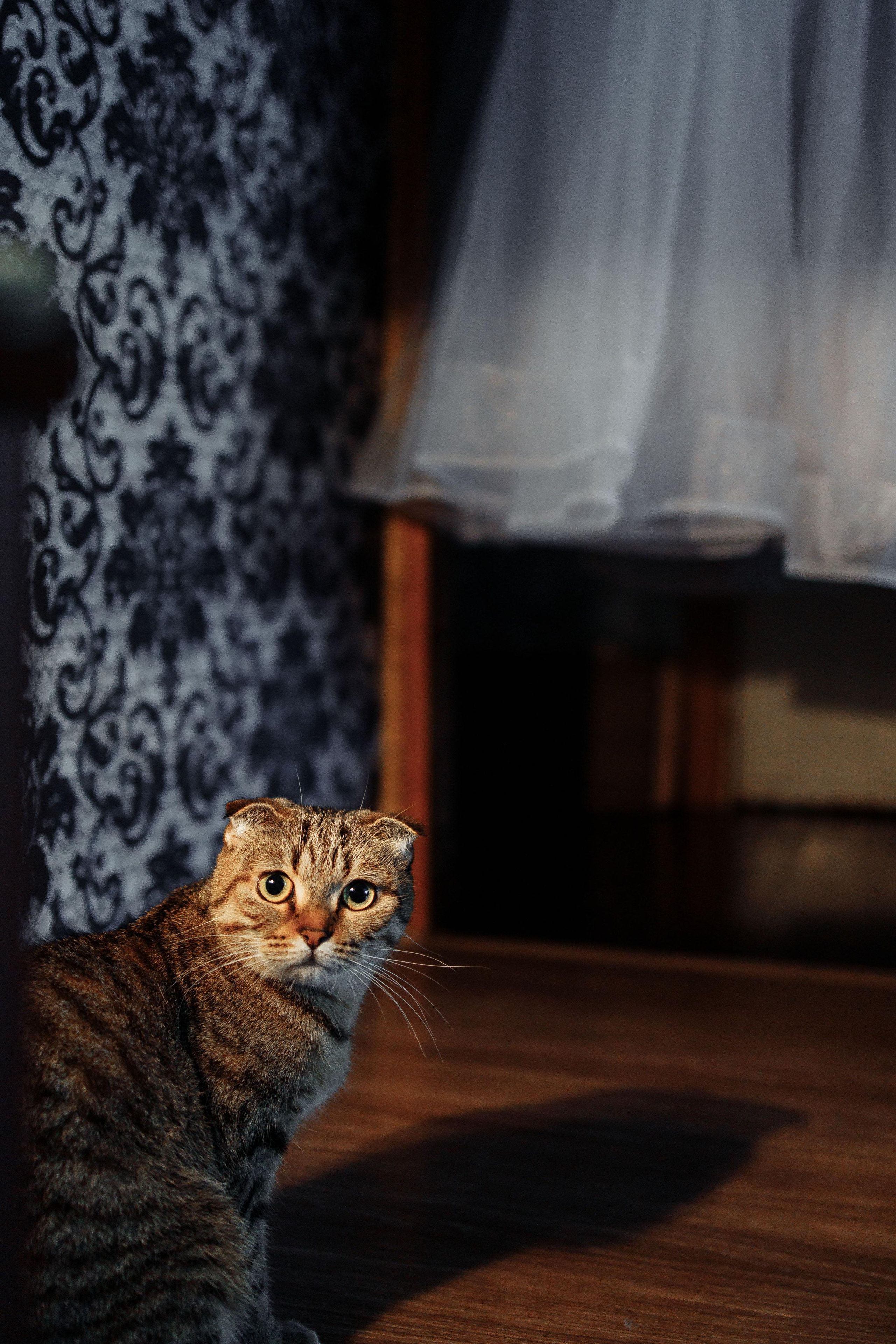 Свадьба в Дубраве, Смоленск. Свадебный фотограф Вашкевич Денис