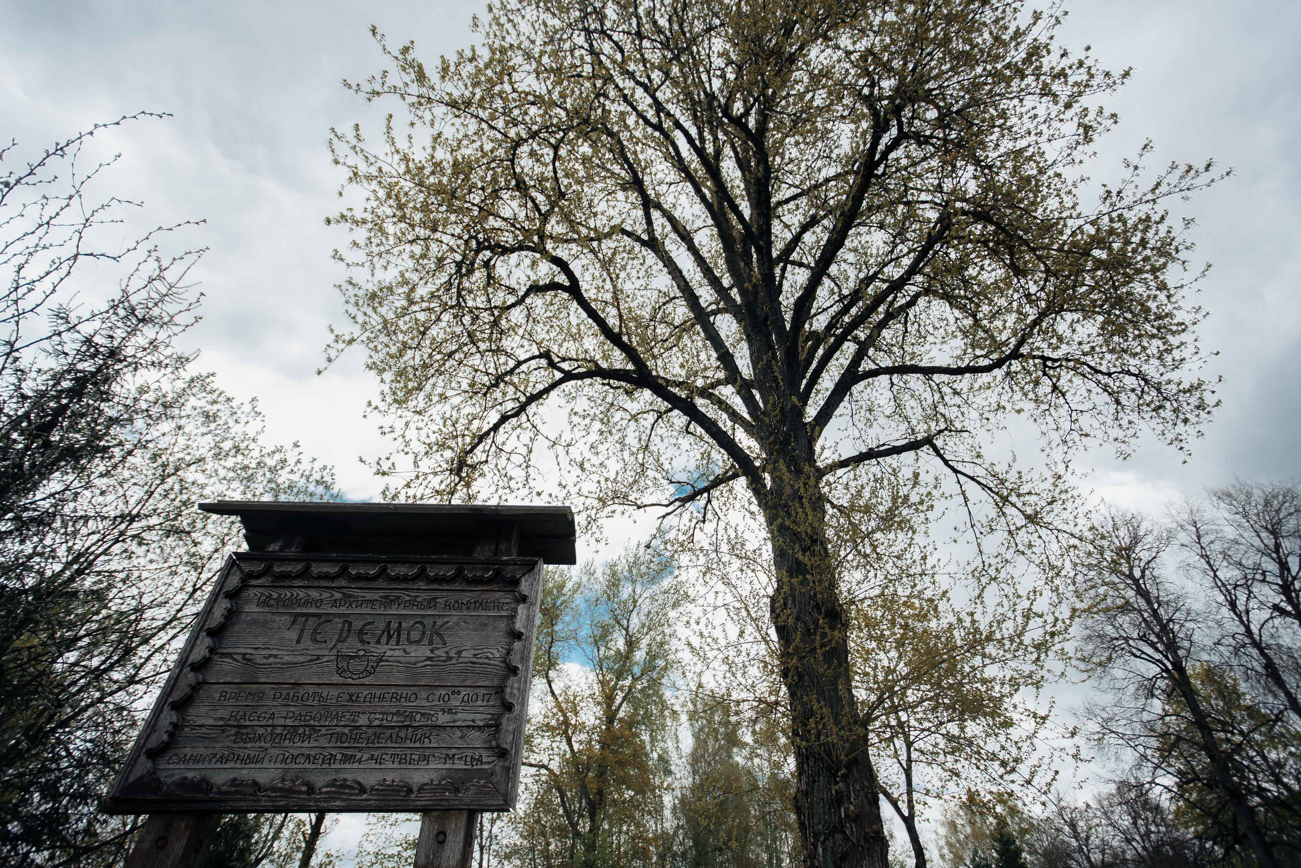 Свадьба в Смоленске. Свадебный фотограф Вашкевич Денис