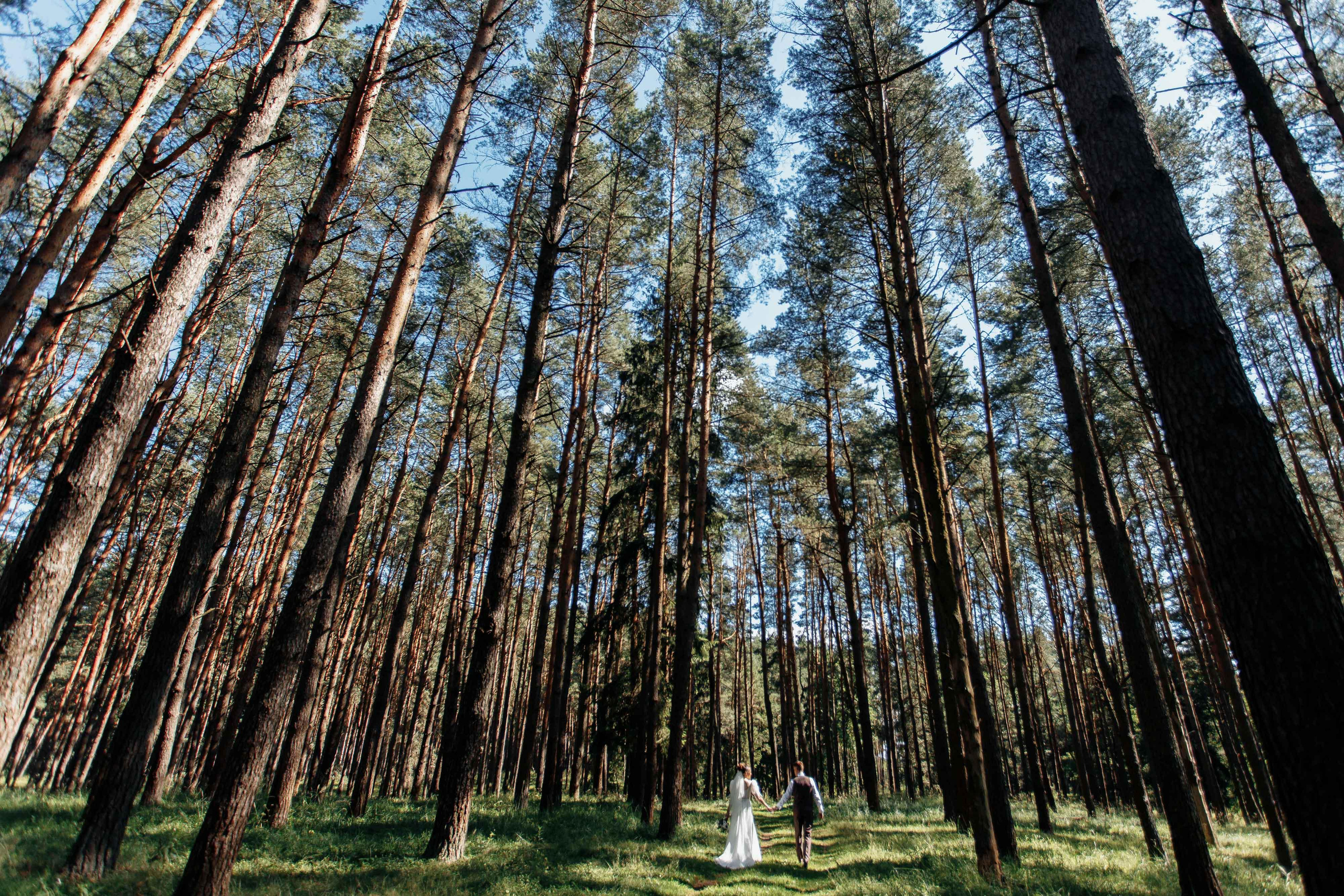 Свадьба в Веранде. Свадебный фотограф Вашкевич Денис