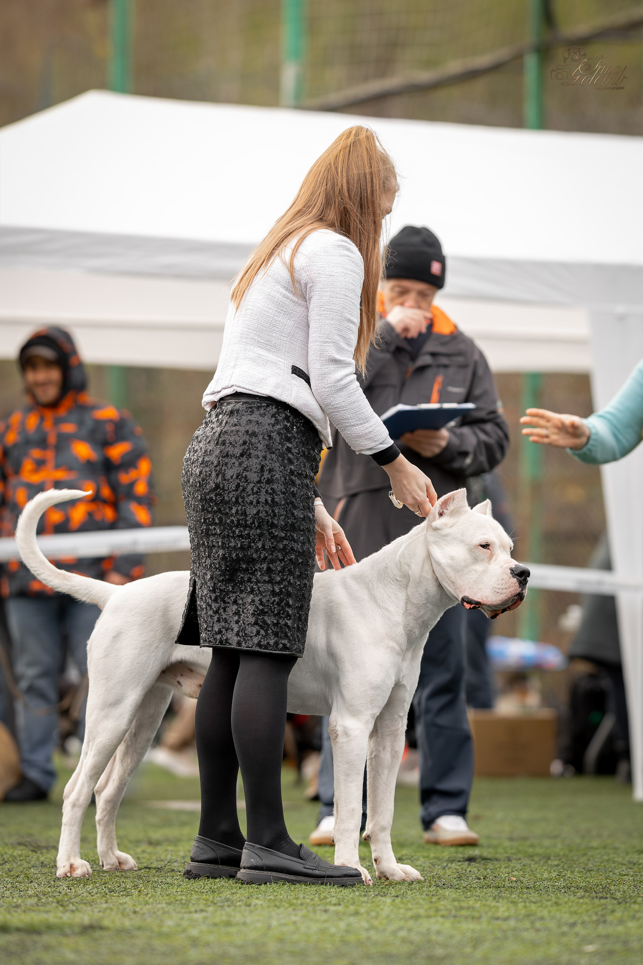 Выставка 17.12.23. Ирина Голомб|Фотограф-анималист в  Сочи и Калининграде