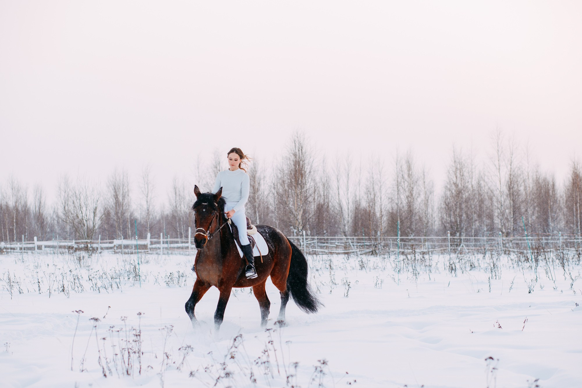 Зимняя фотосессия с лошадкой. Фотограф в Санкт-Петербурге Alina Film