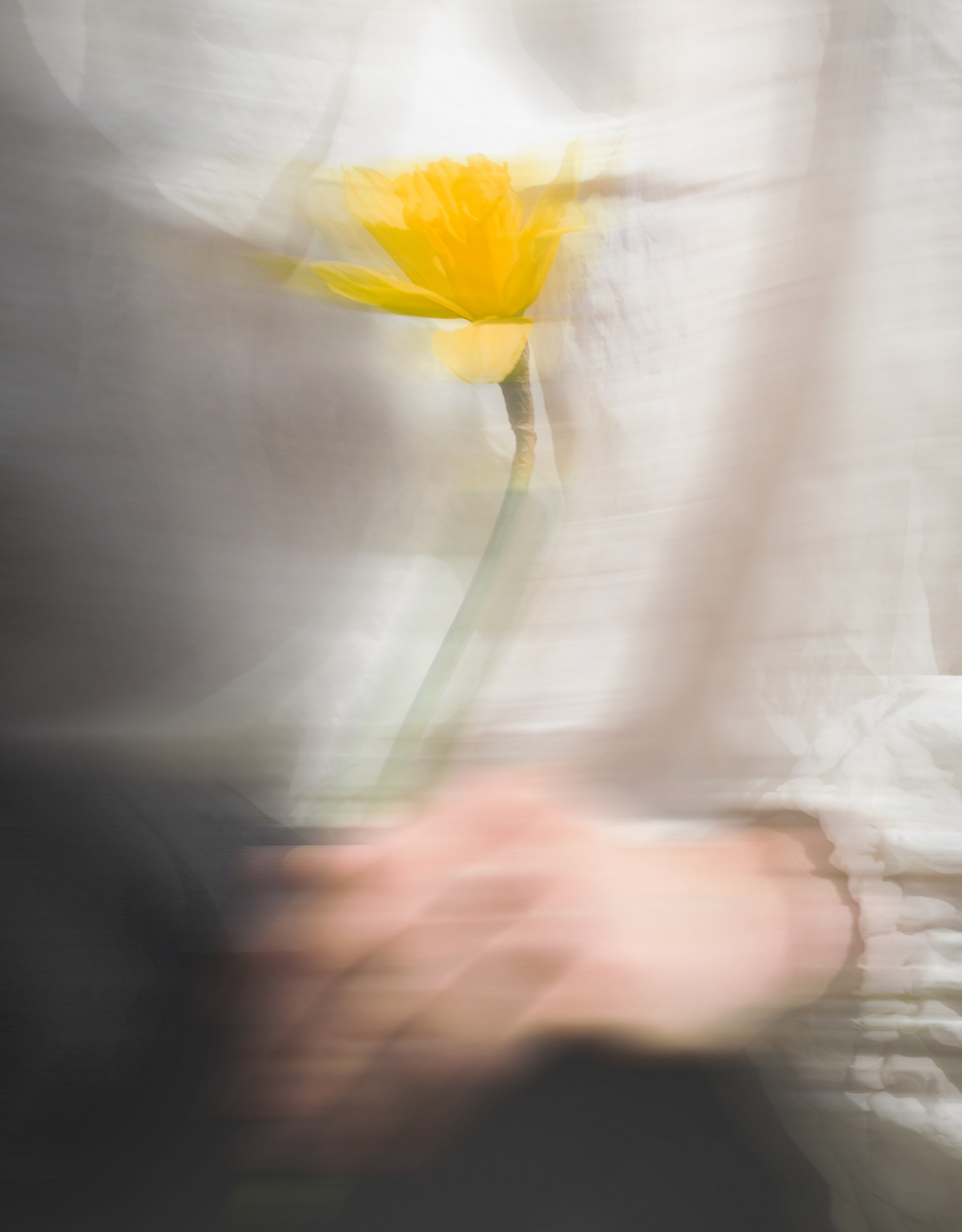 Narciss. Фотограф Дарья Карпенко